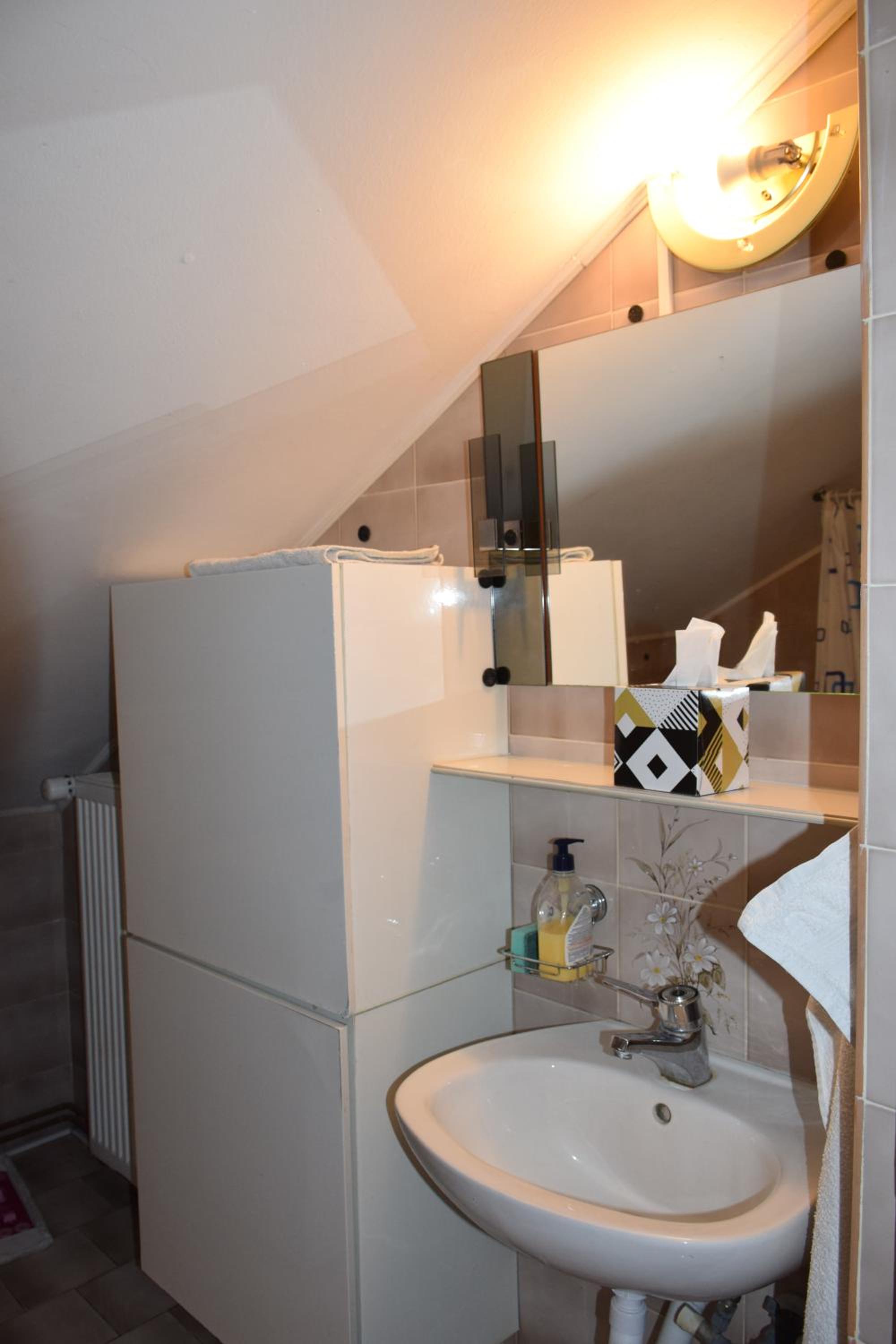 Apartma narava
