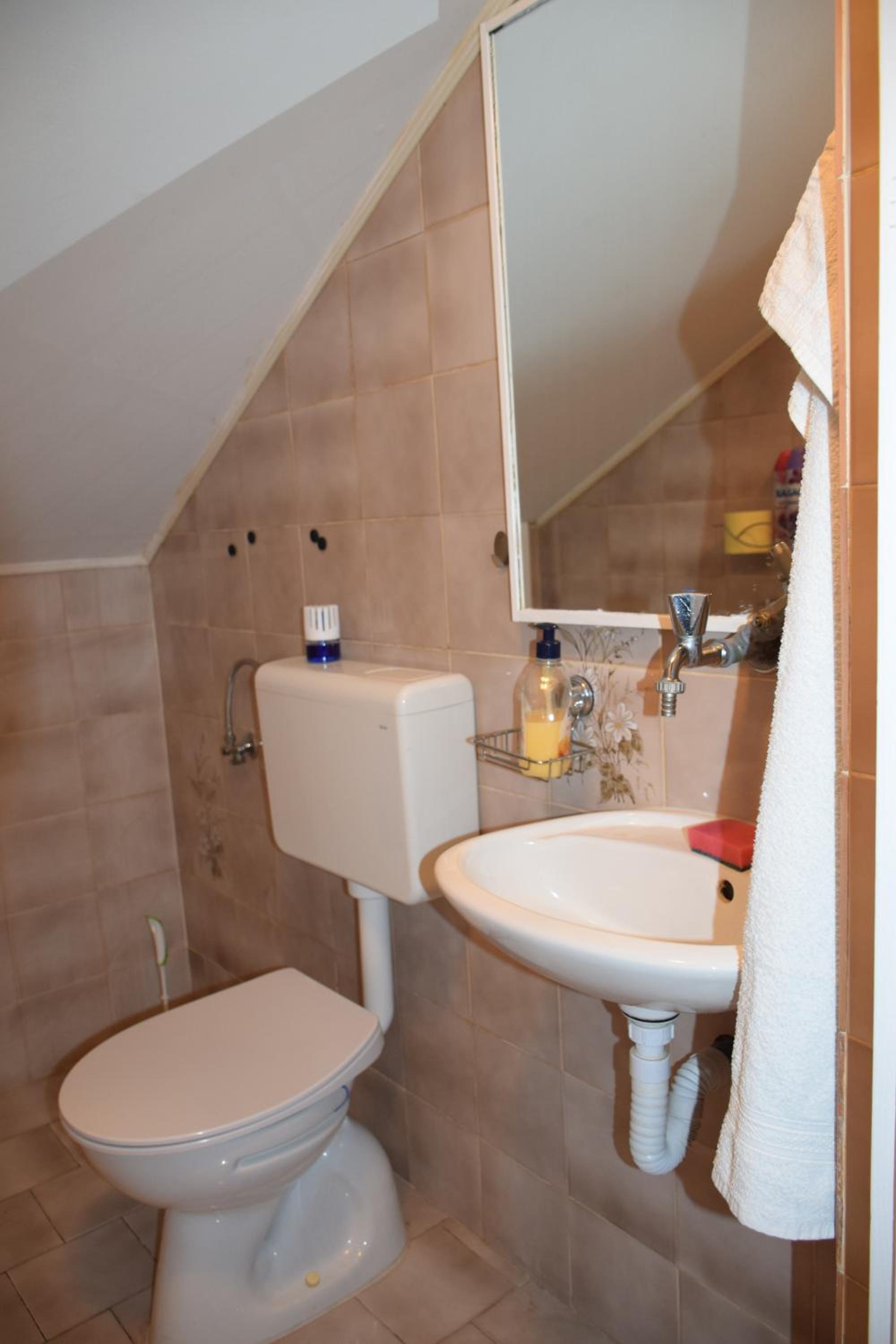 Apartma narava