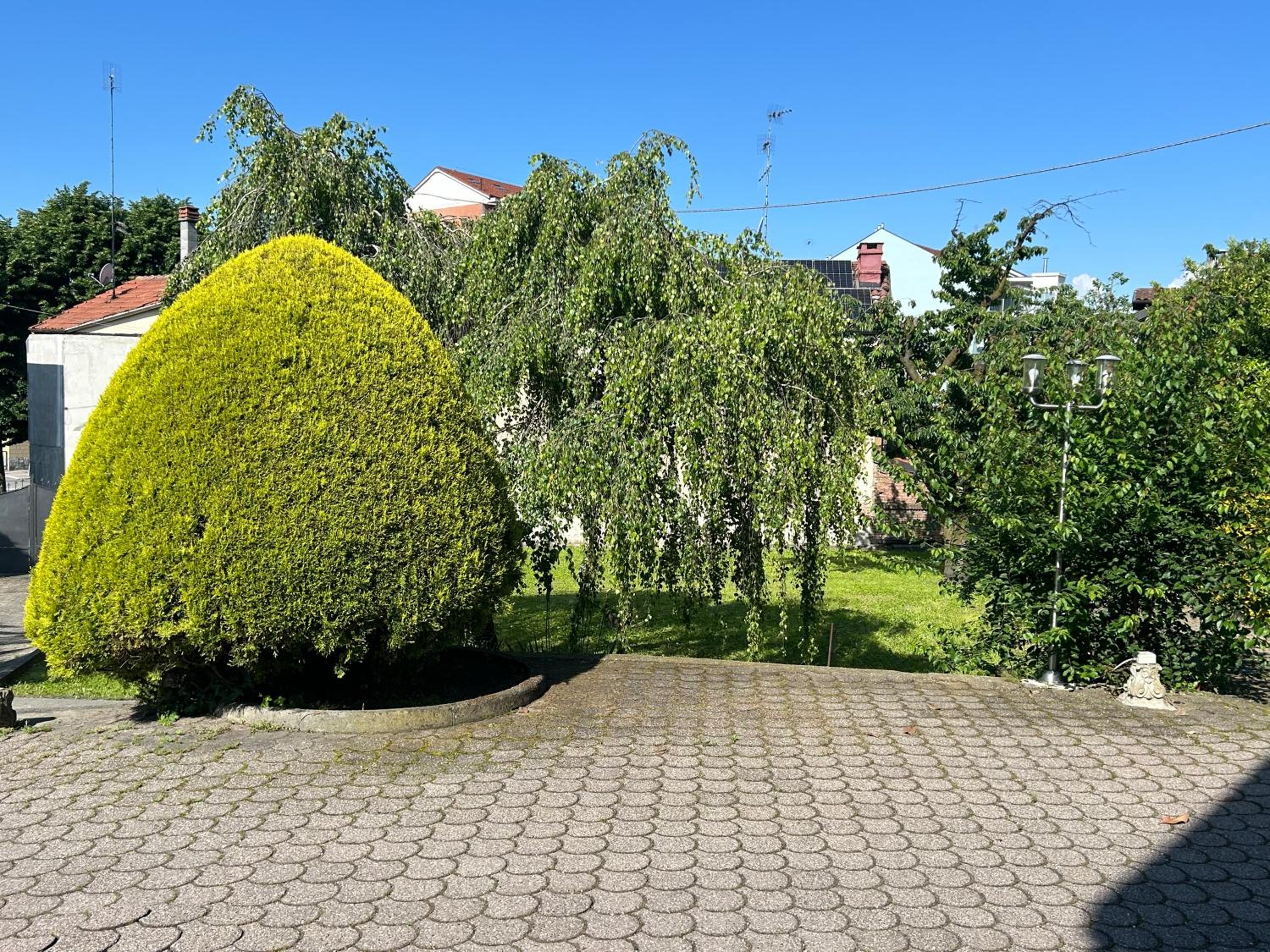 I Ciliegi view 5