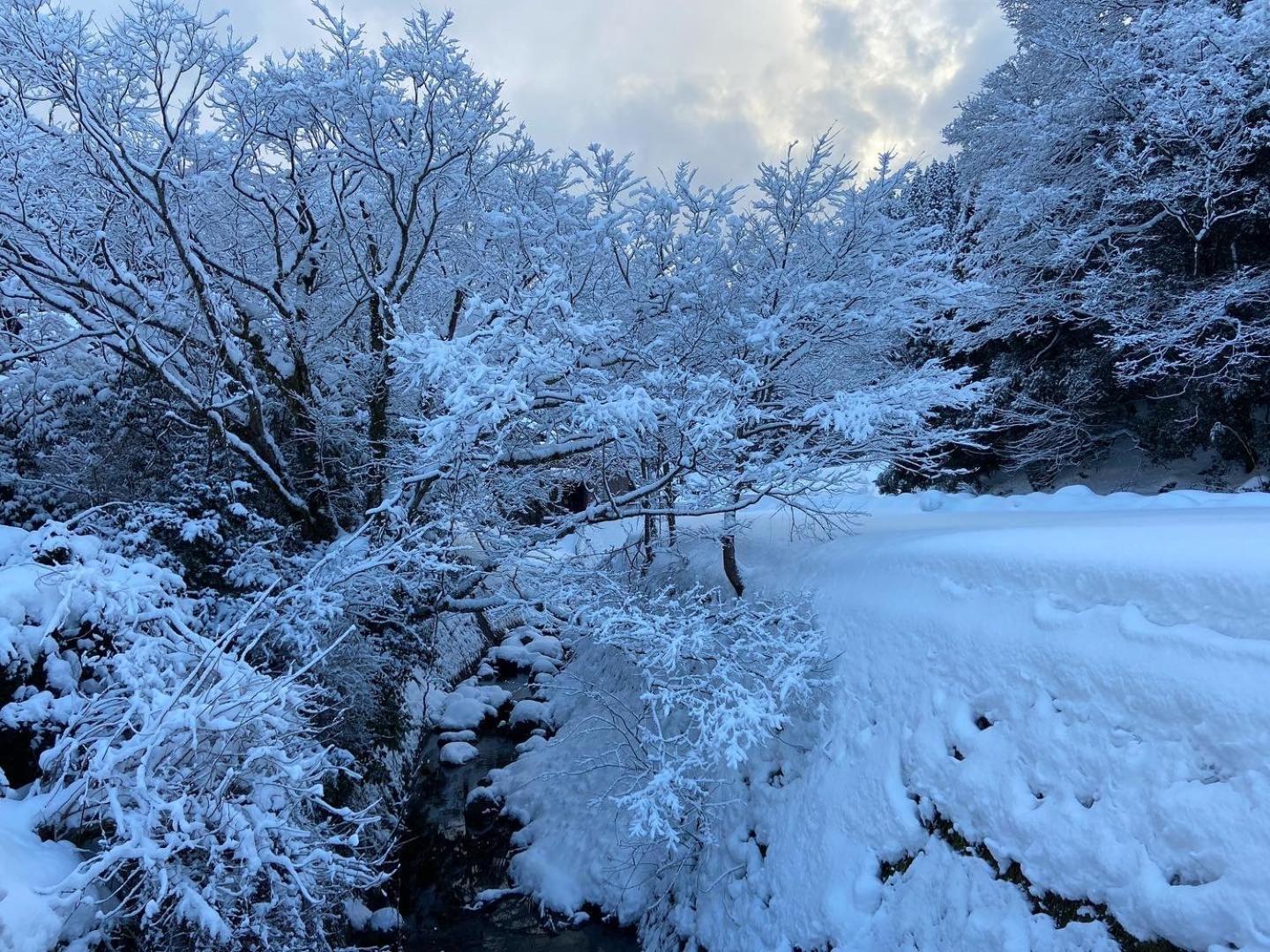One of the best radon springs in the world Misasa Onsen A hot spring trip that makes you feel better when you stay over the morning three times 三朝町民泊 view 3