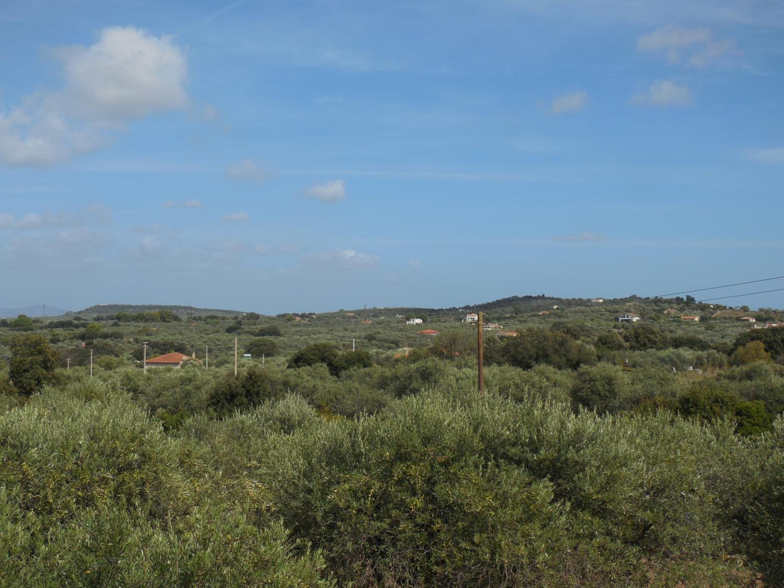 Photo 24