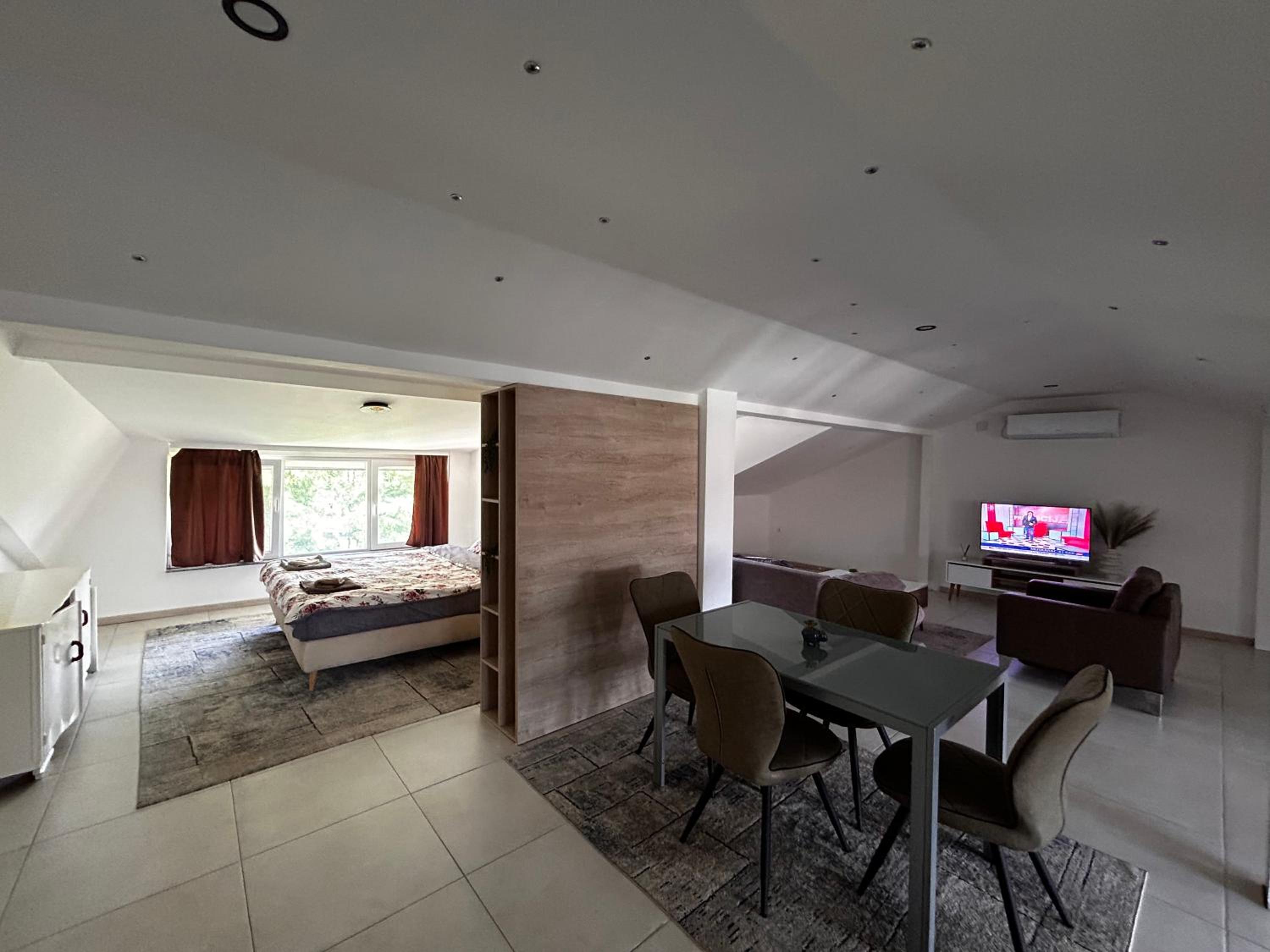 Anton Lux Apartment view 5
