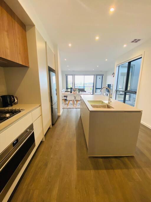 Modern oasis