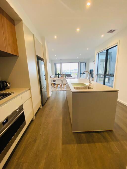 Modern oasis