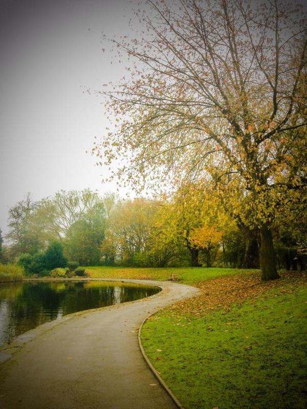 Photo 11