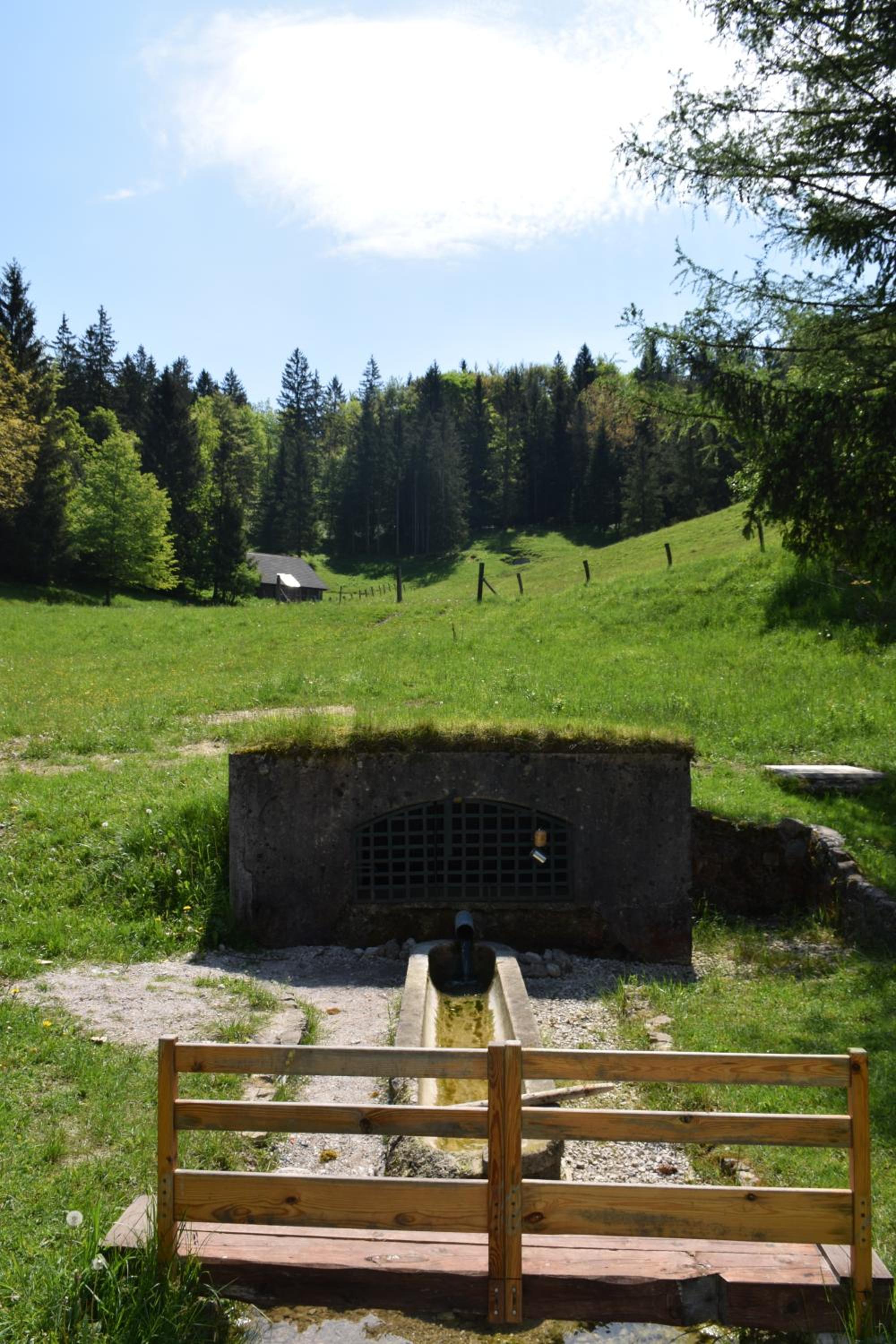 Apartma narava