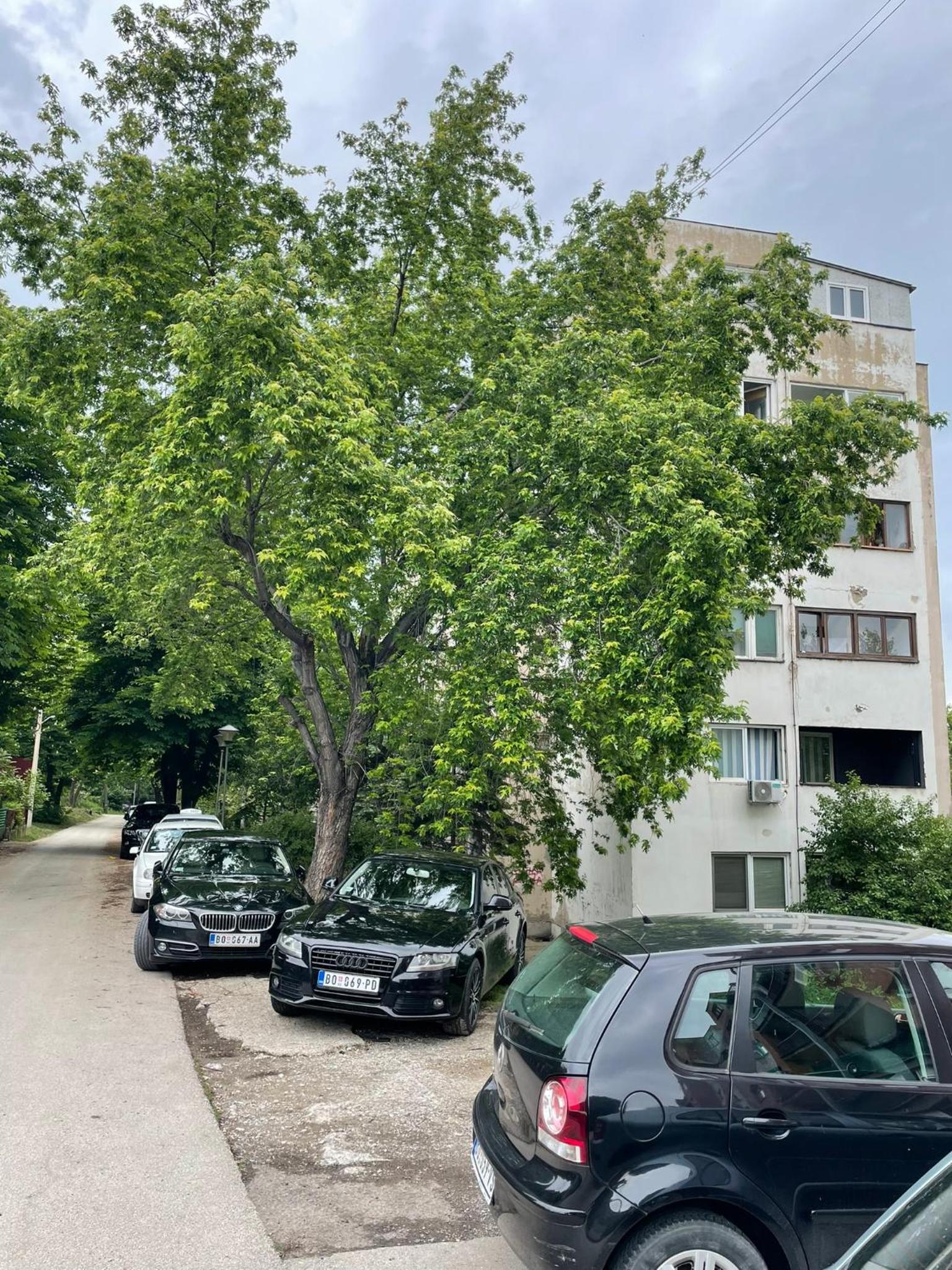 parking