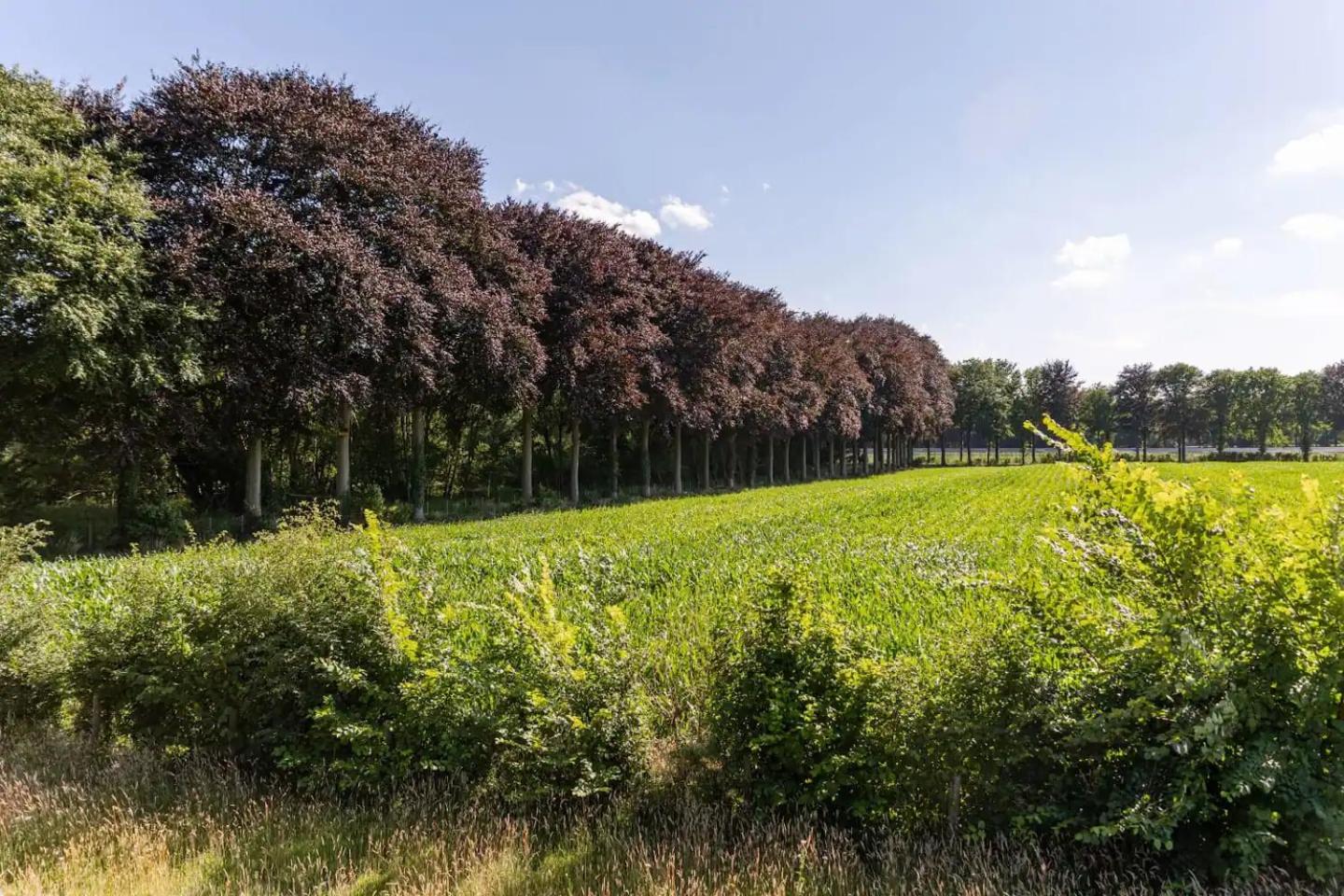 Tiny House Natuur & cultuur nabij Brugge!