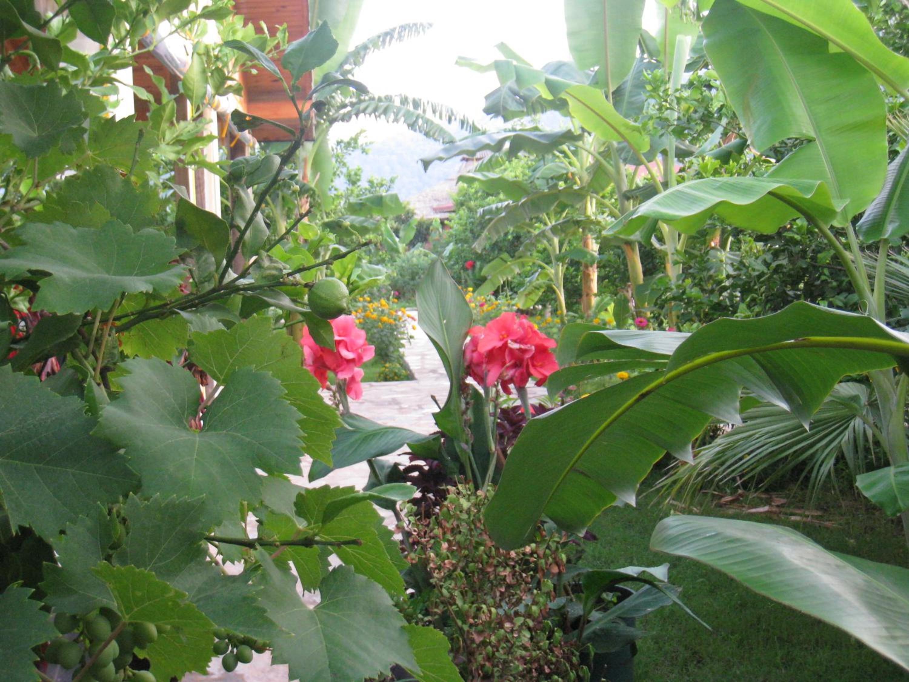 Photo 42