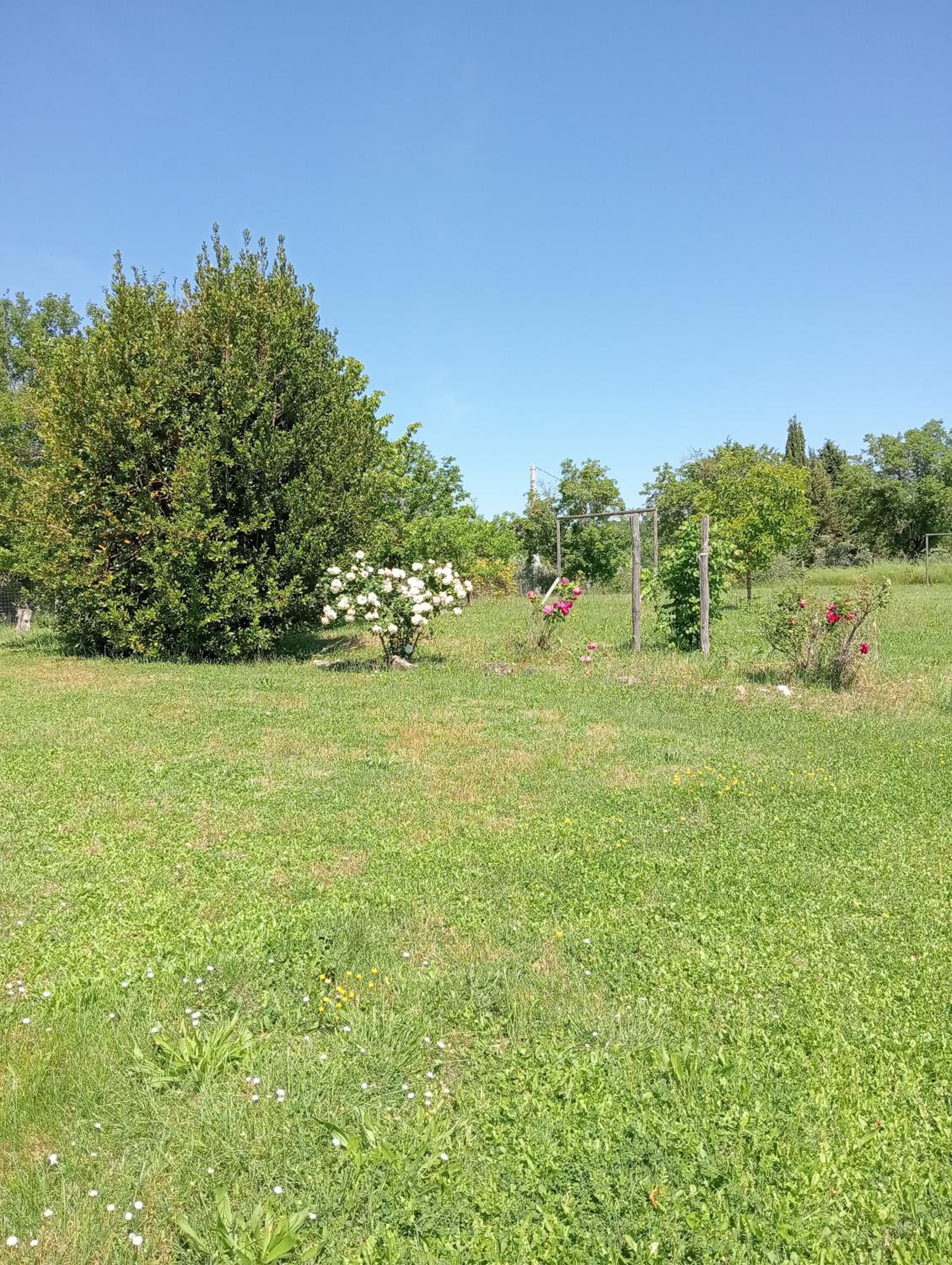 Le tre poiane