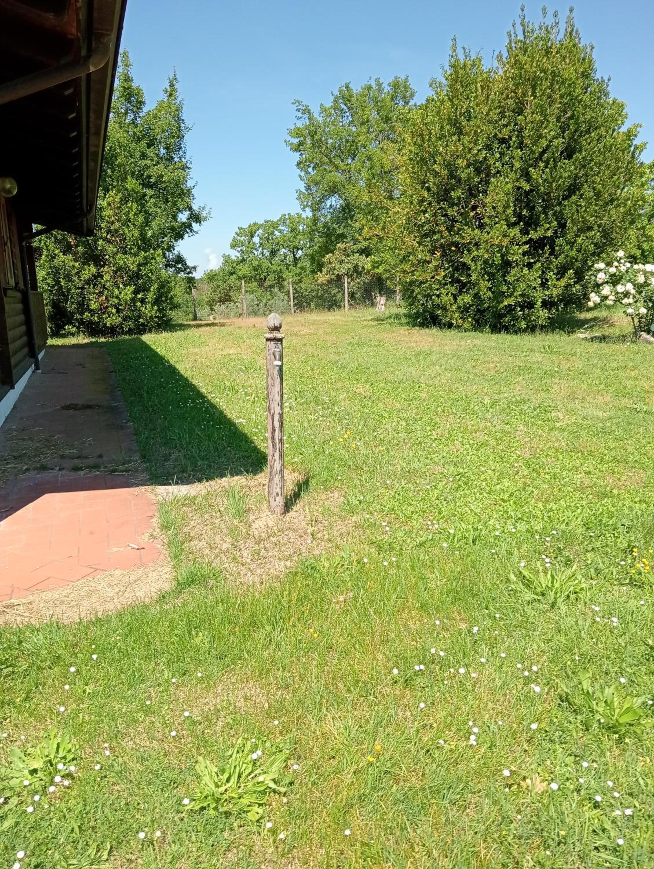 Le tre poiane