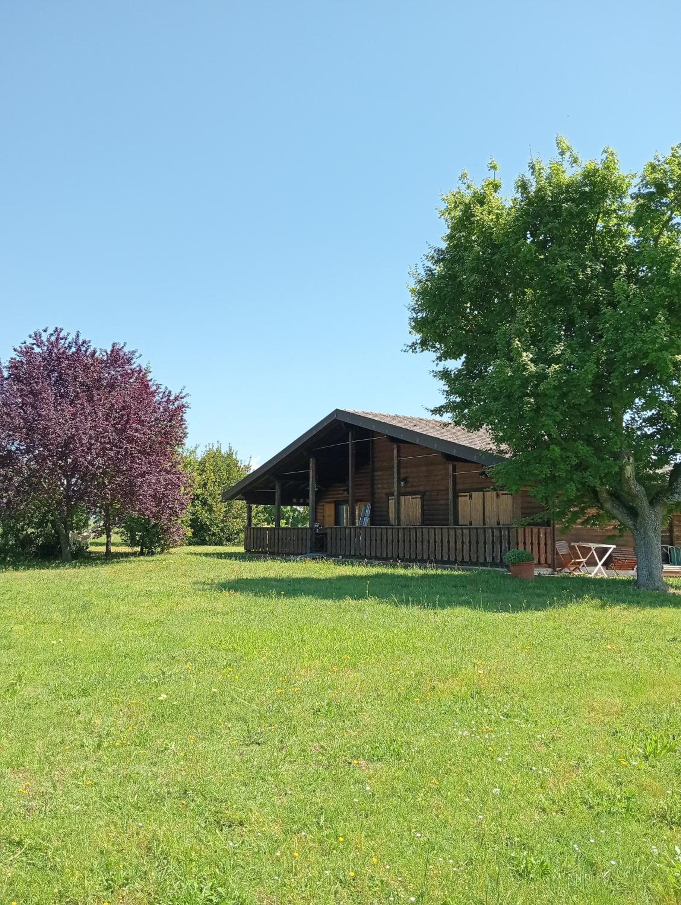 Le tre poiane