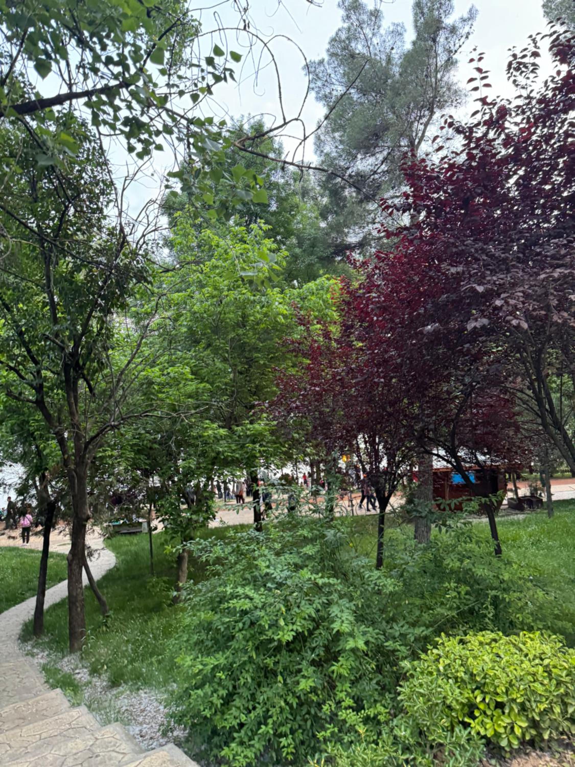 Tirana Lake View Premium Apartment