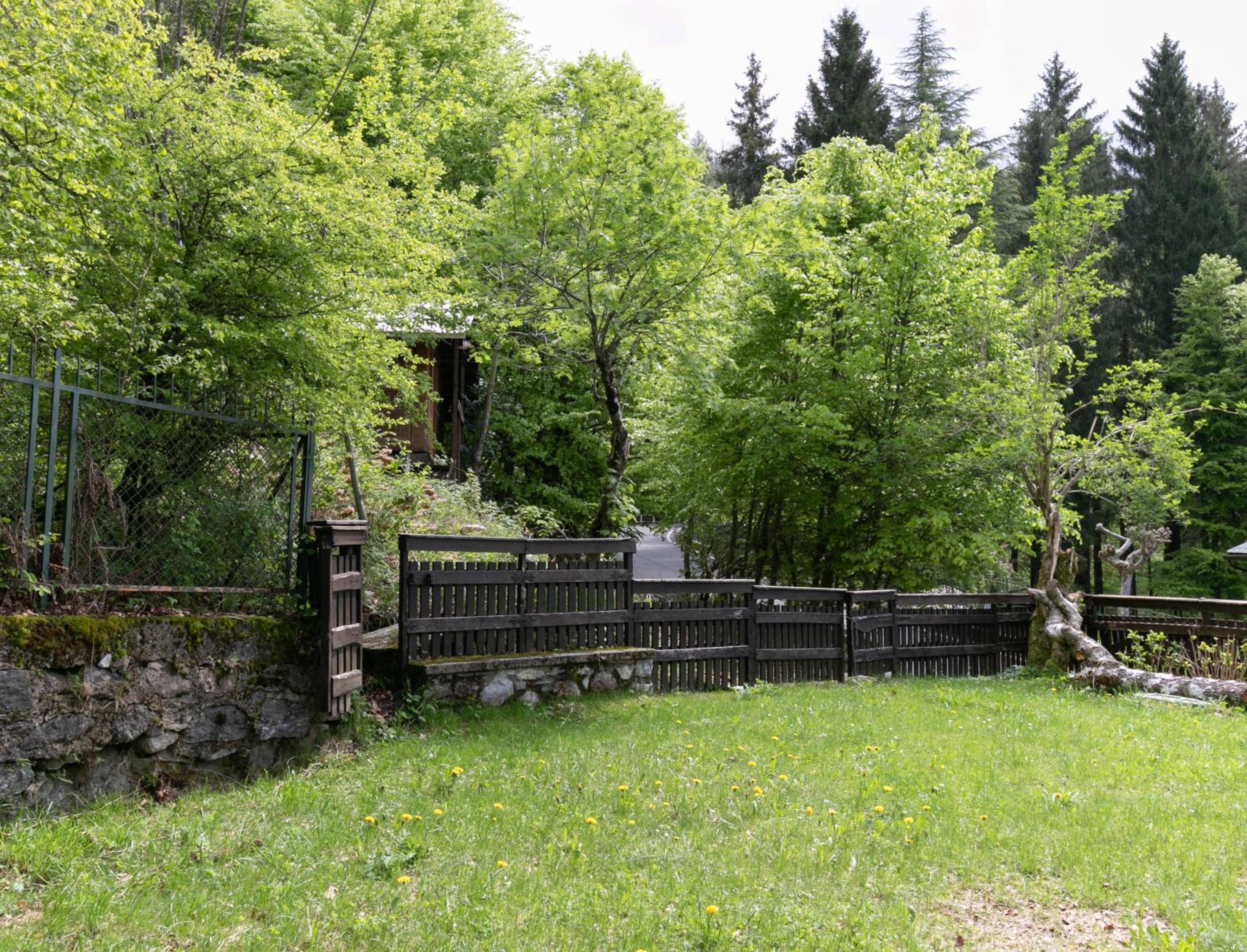 Photo 33