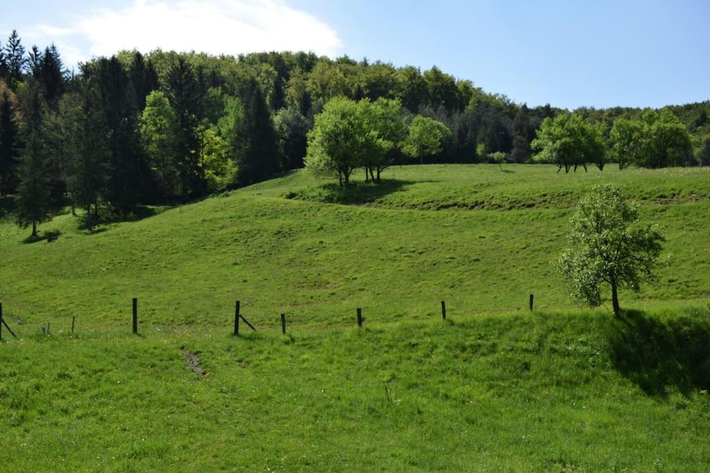Apartma podeželje