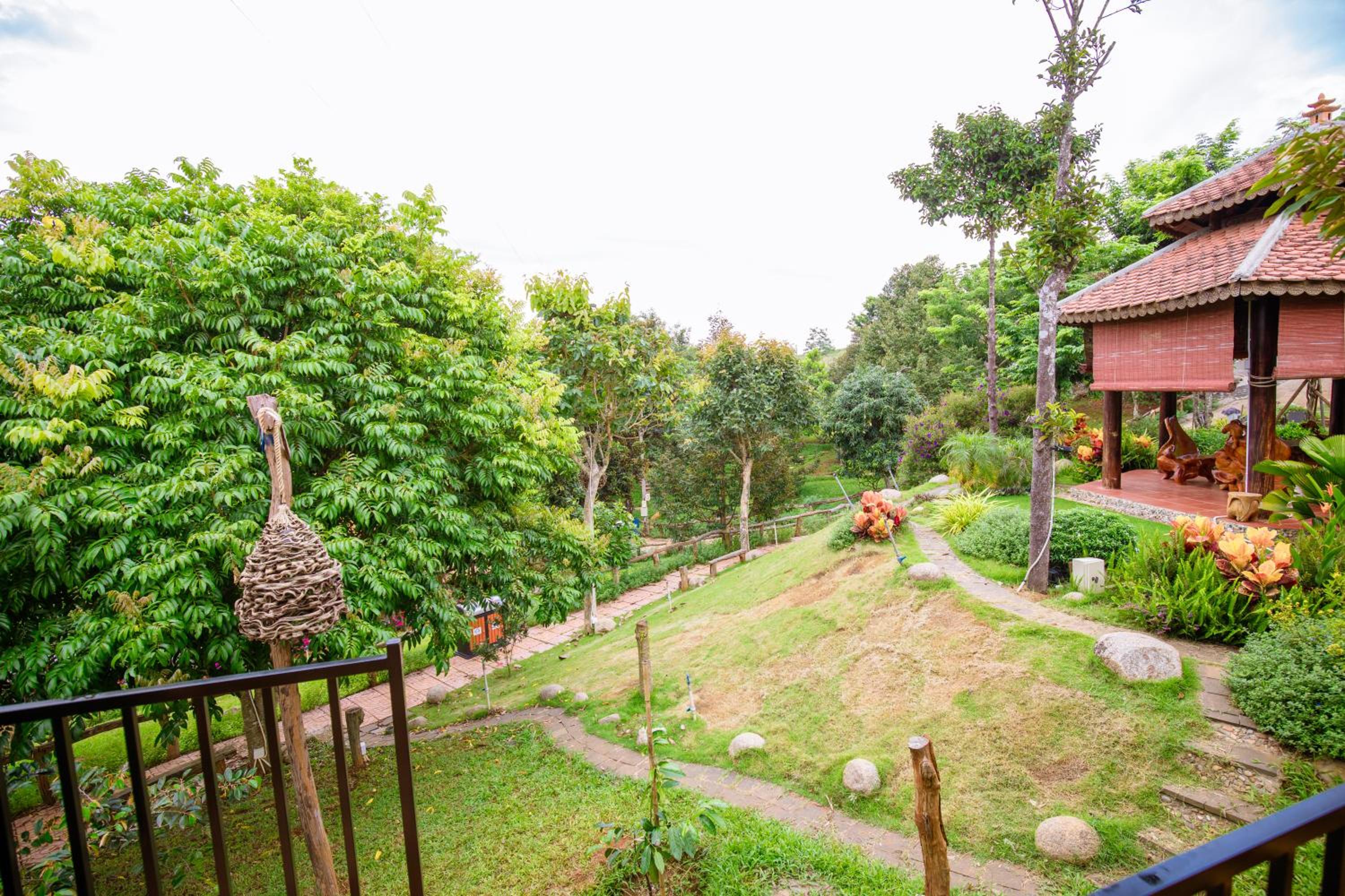 Nins Farm Gia Nghĩa Đắk Nông view 4