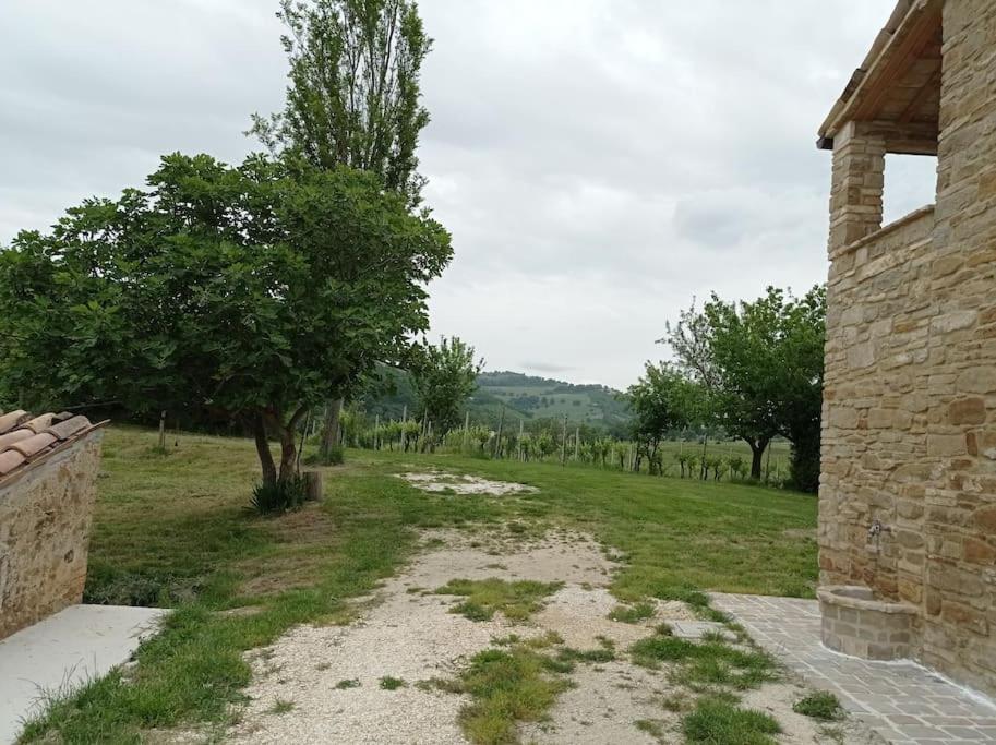 Photo 20