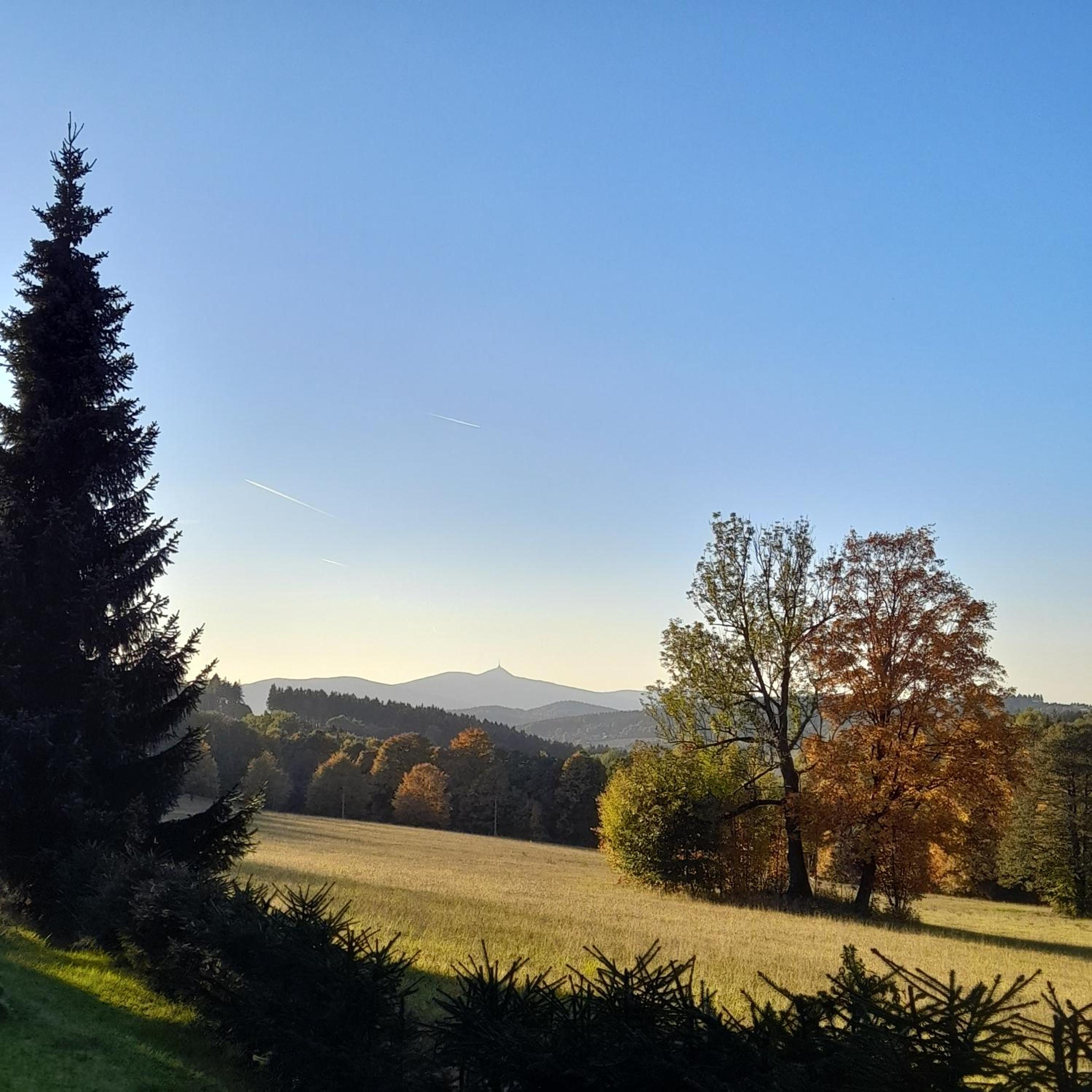 Ubytko ráj pod kaštanem
