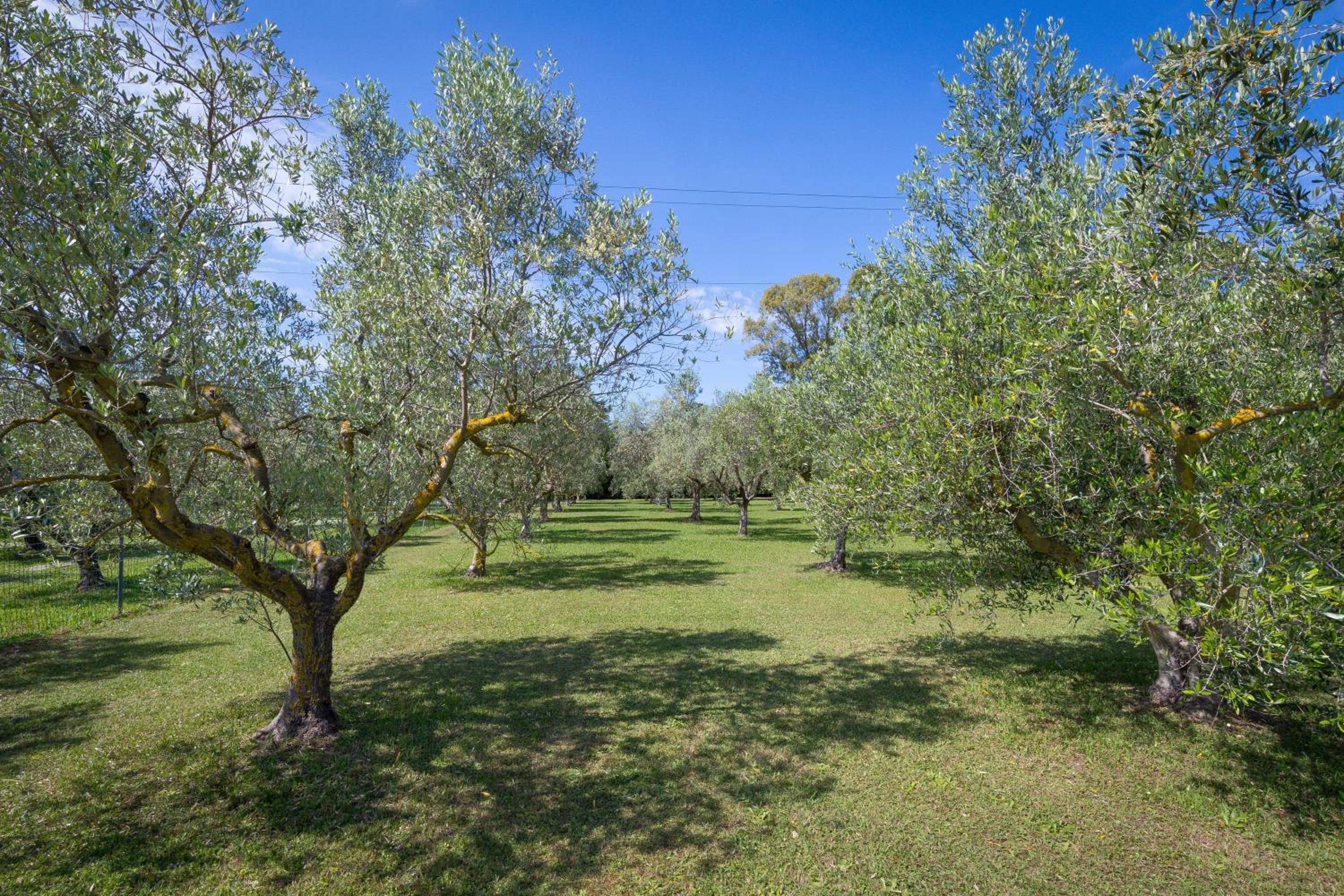 Tenuta Vallegaia