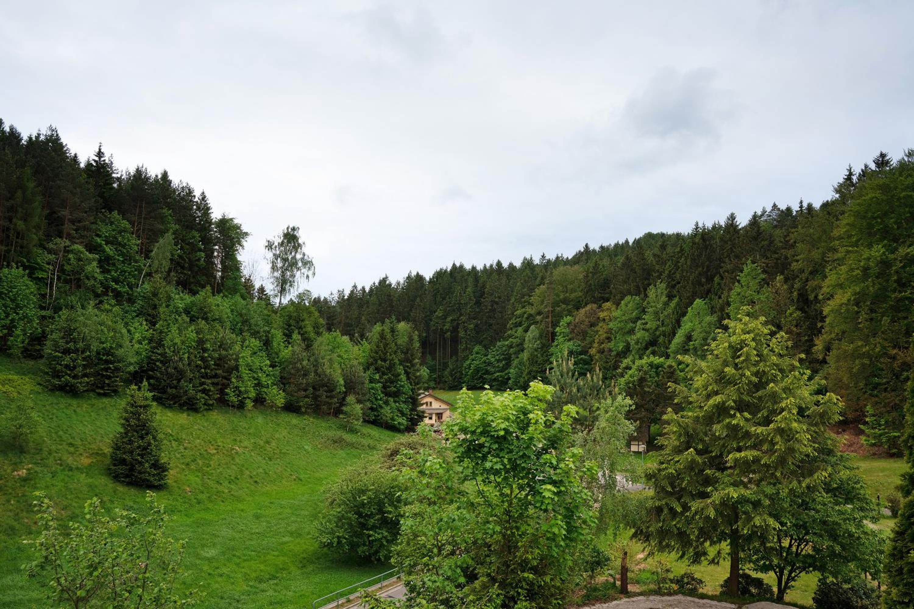 Ferienhaus 'Zum Zaunkönig'