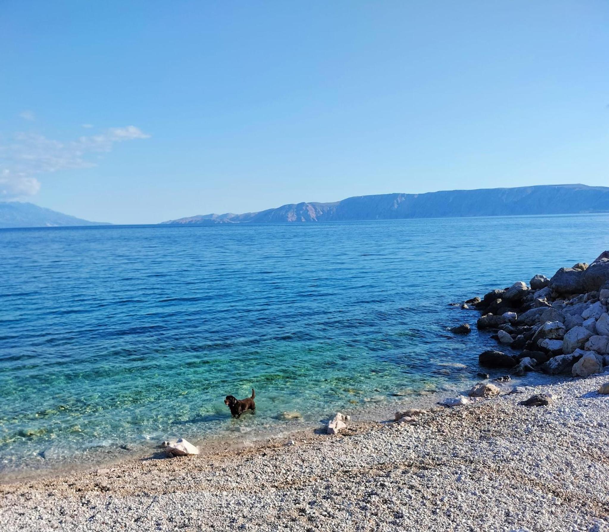 Apartmani Ivana Novi
