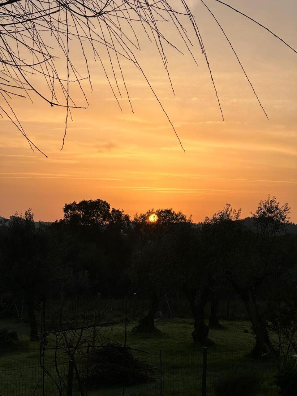 Casa Flammini Guesthouse view 2