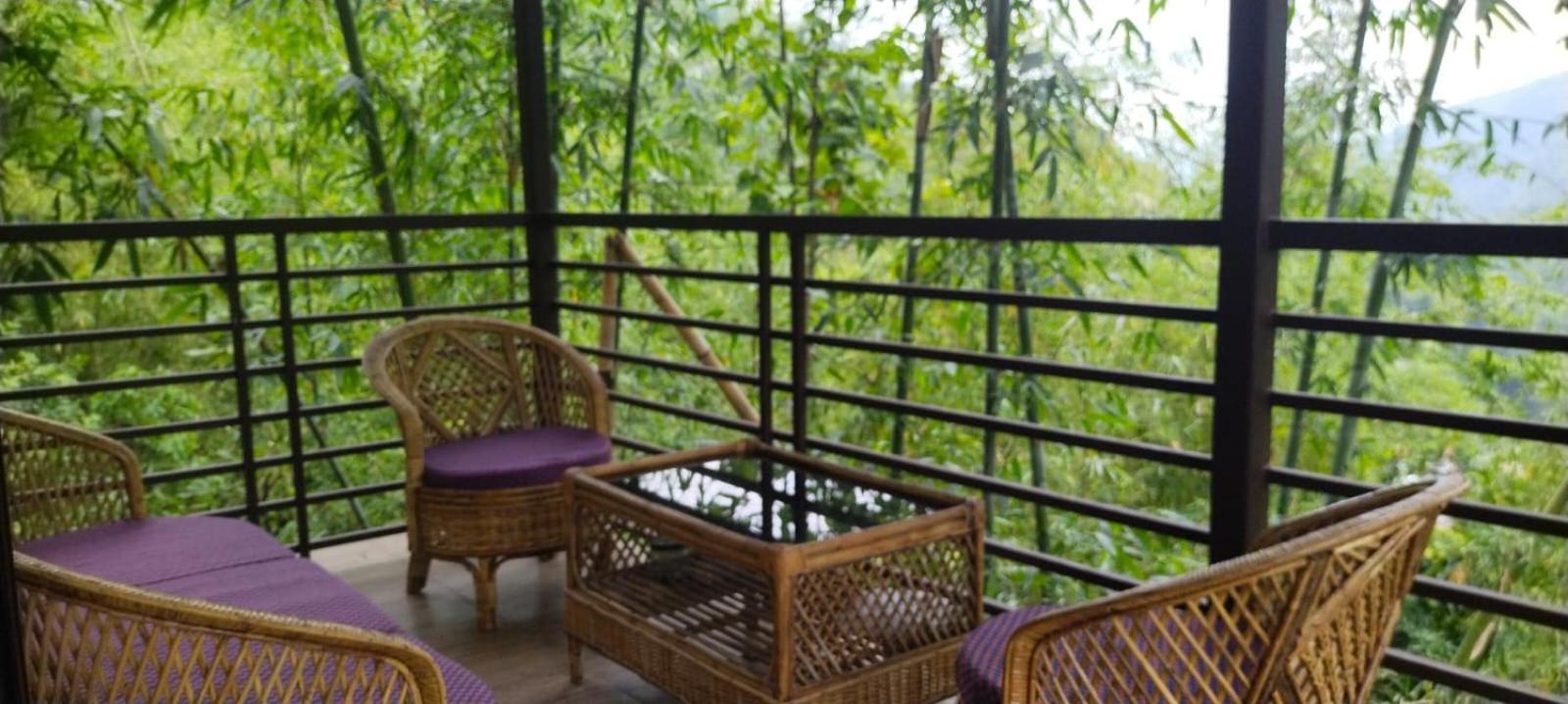 Baasbari Farm view 5