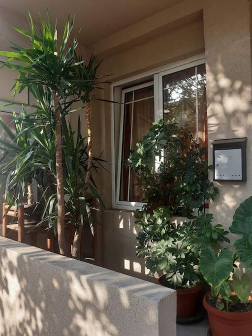Mandarina lux apartments view 3