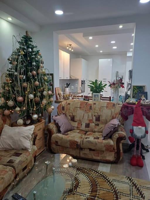 Mandarina lux apartments view 4