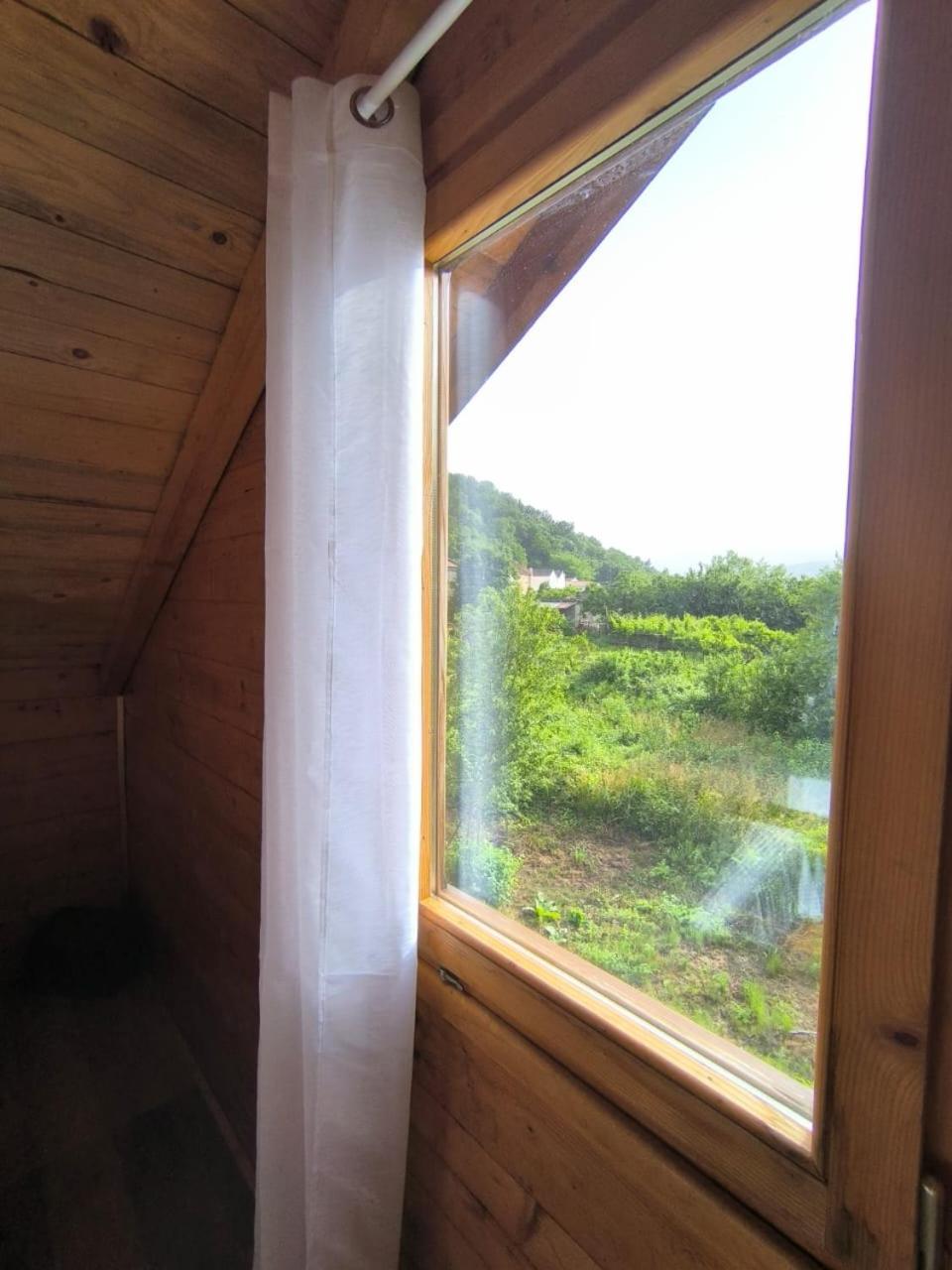 Photo 38