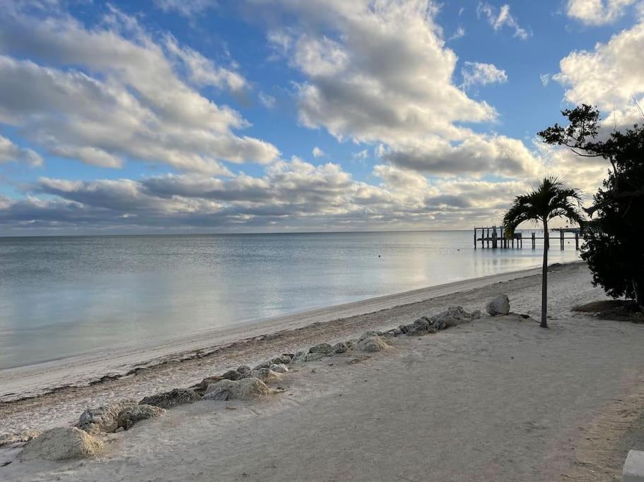 Outstanding Oceanfront Oasis Directly on Beach #8