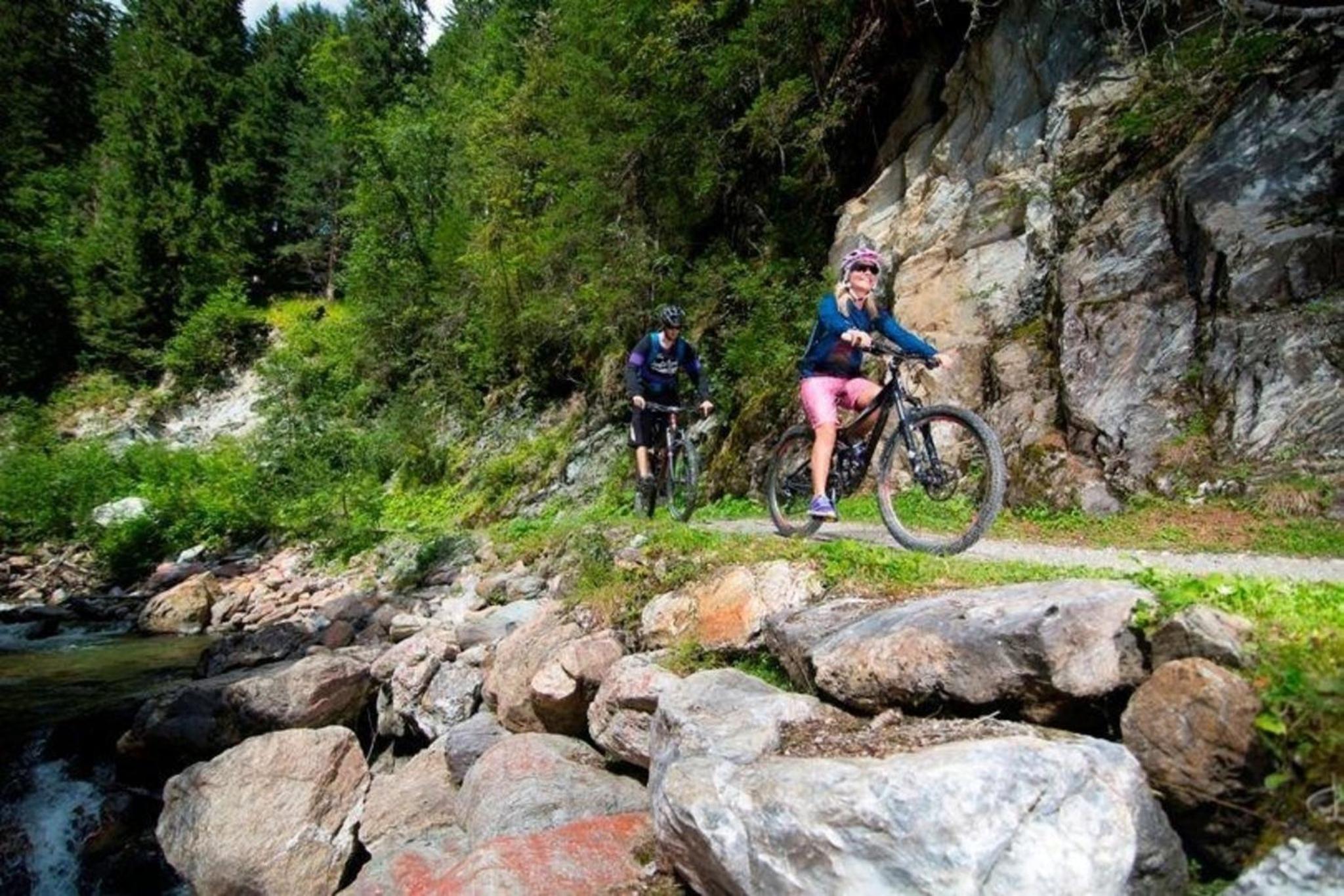 Ferienwohnung Bergpanorama in Gmünd