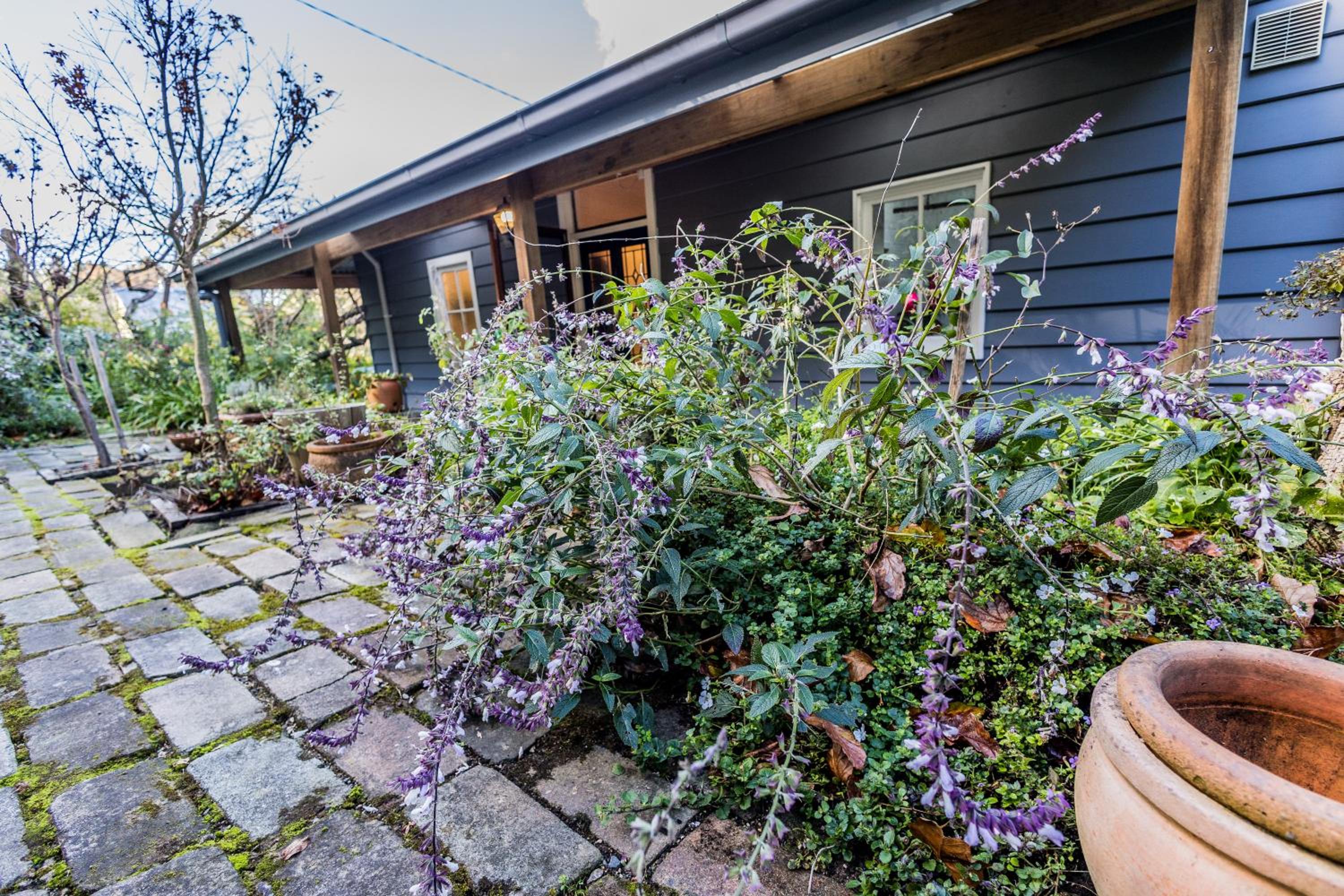 Blue Mountains Bliss Cottages Katoomba - Rosebud