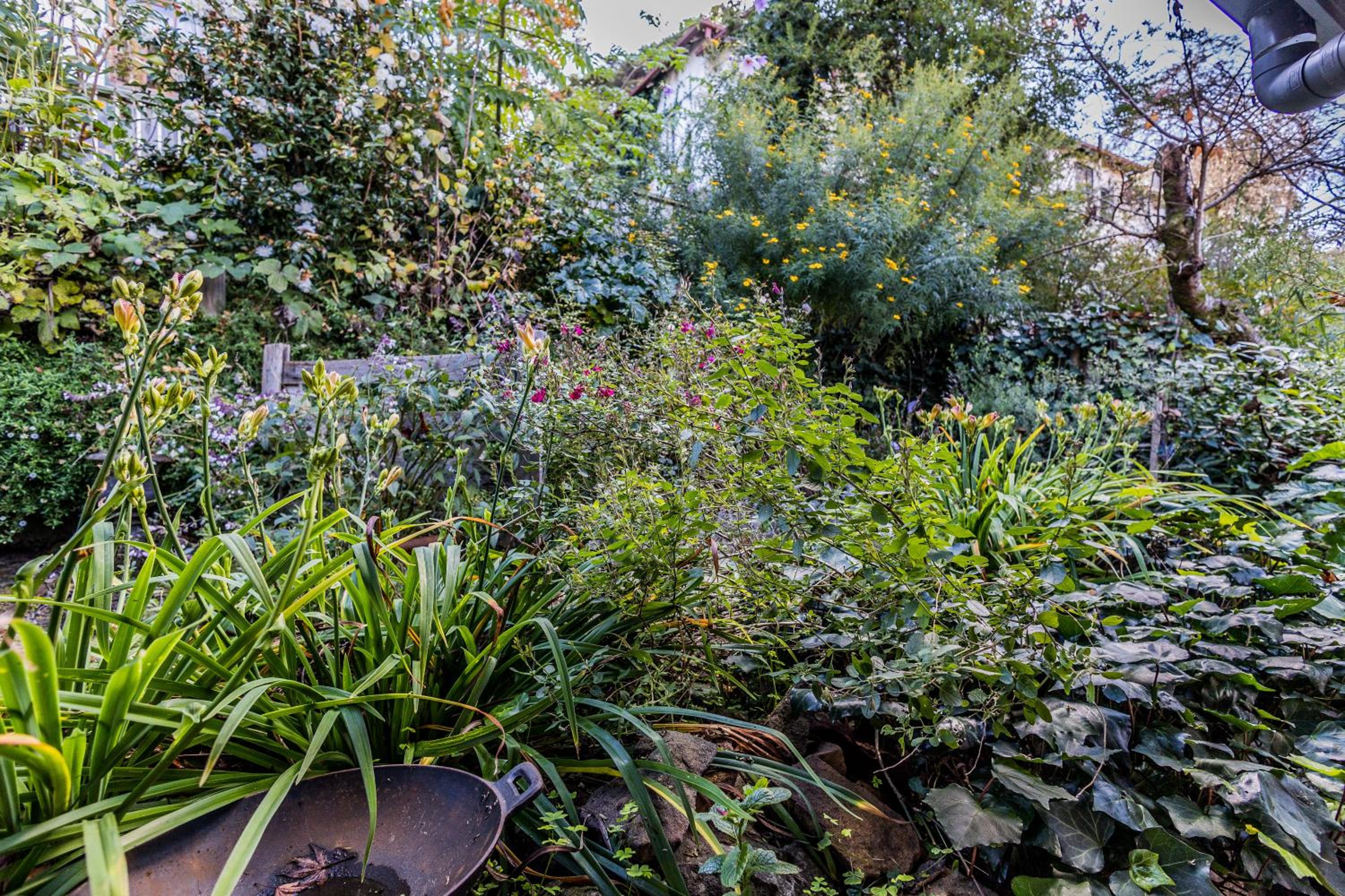 Blue Mountains Bliss Cottages Katoomba - Rosebud