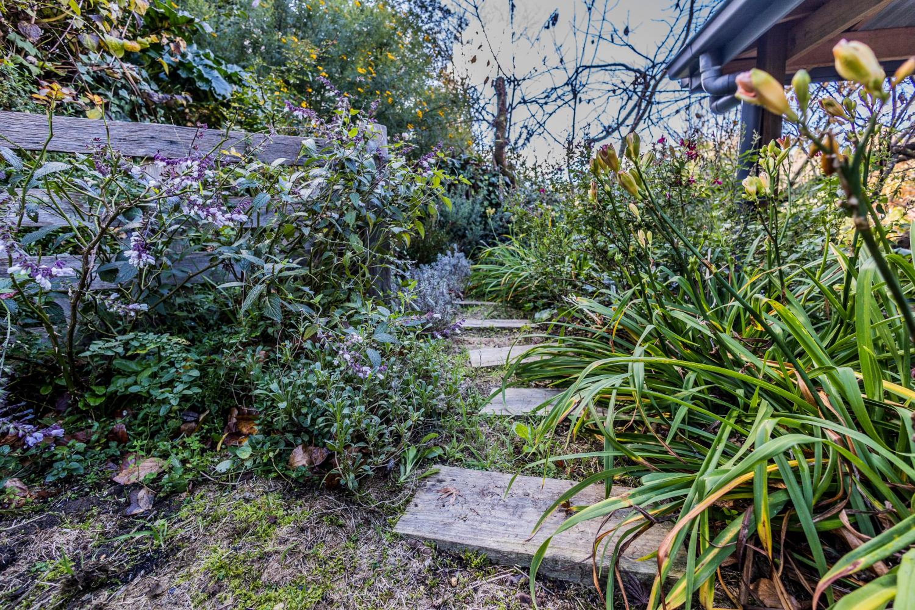 Blue Mountains Bliss Cottages Katoomba - Rosebud