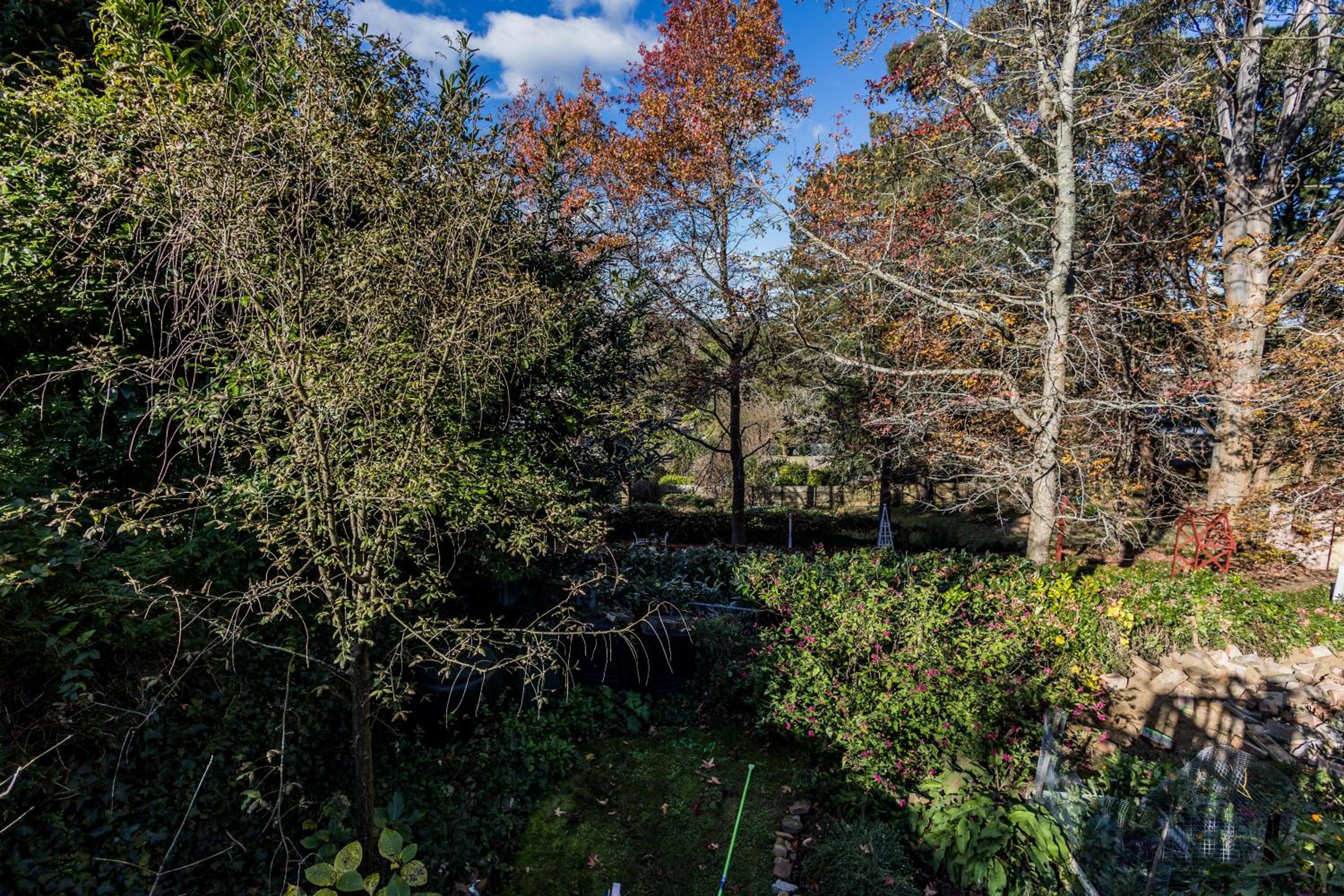Blue Mountains Bliss Cottages Katoomba - Rosebud