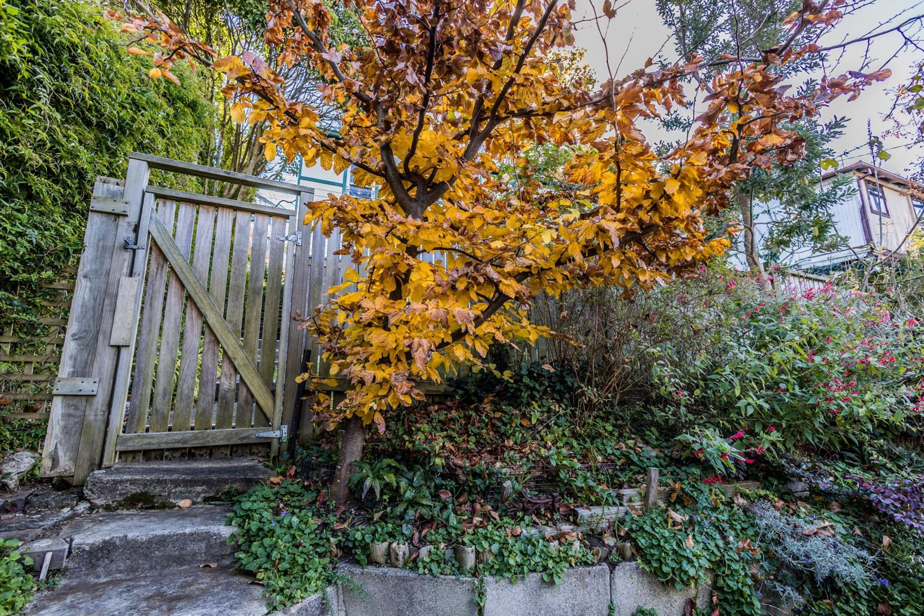 Blue Mountains Bliss Cottages Katoomba - Rosebud