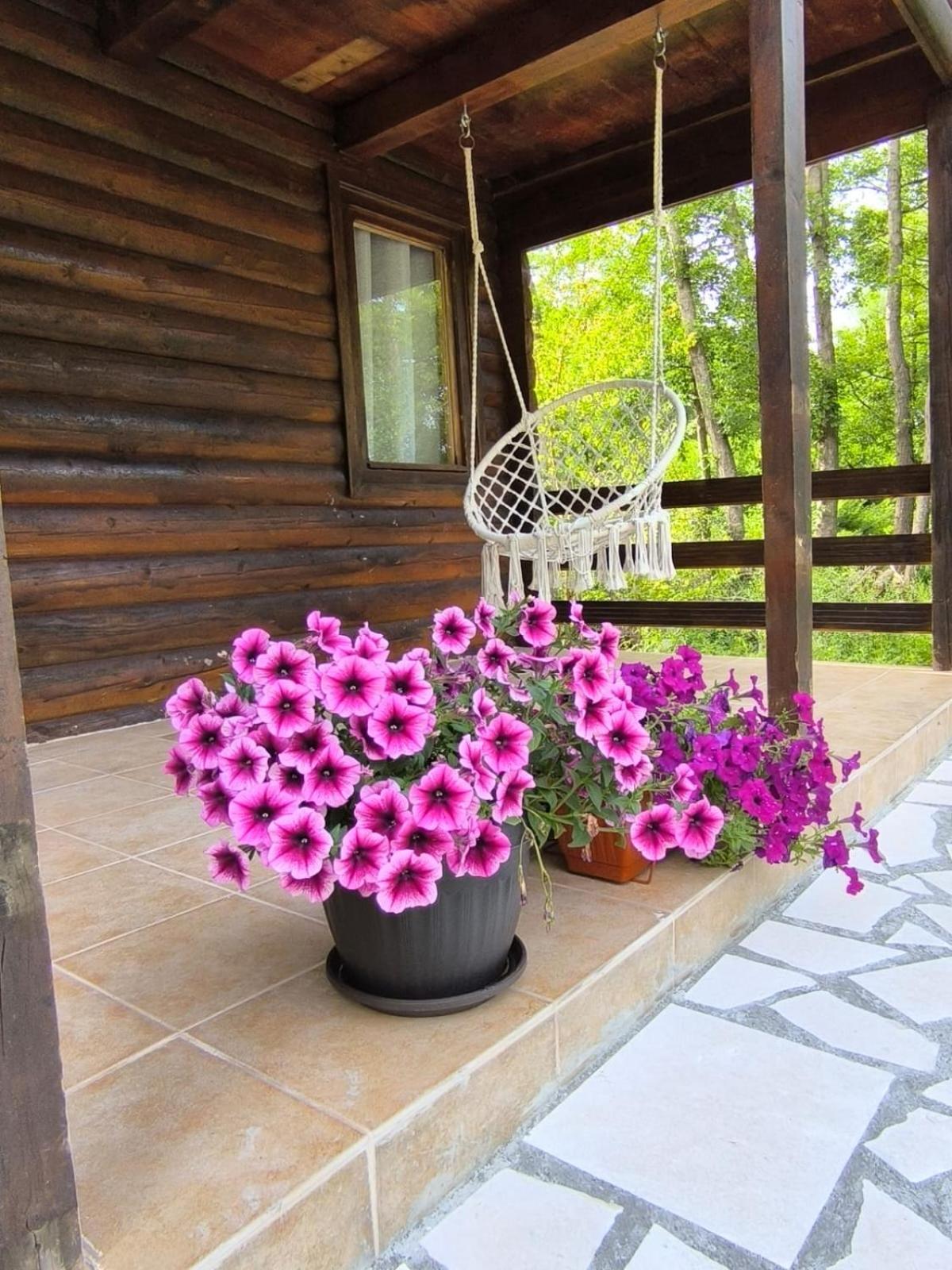 Photo 27