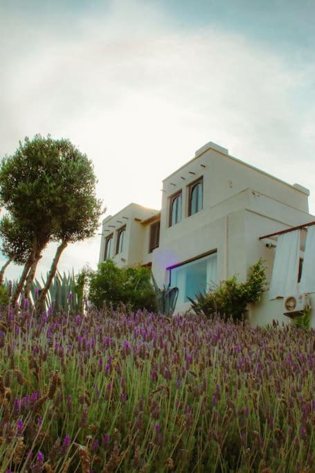 Private Villa with Pool & Spa Corporate 38 Guests view 3