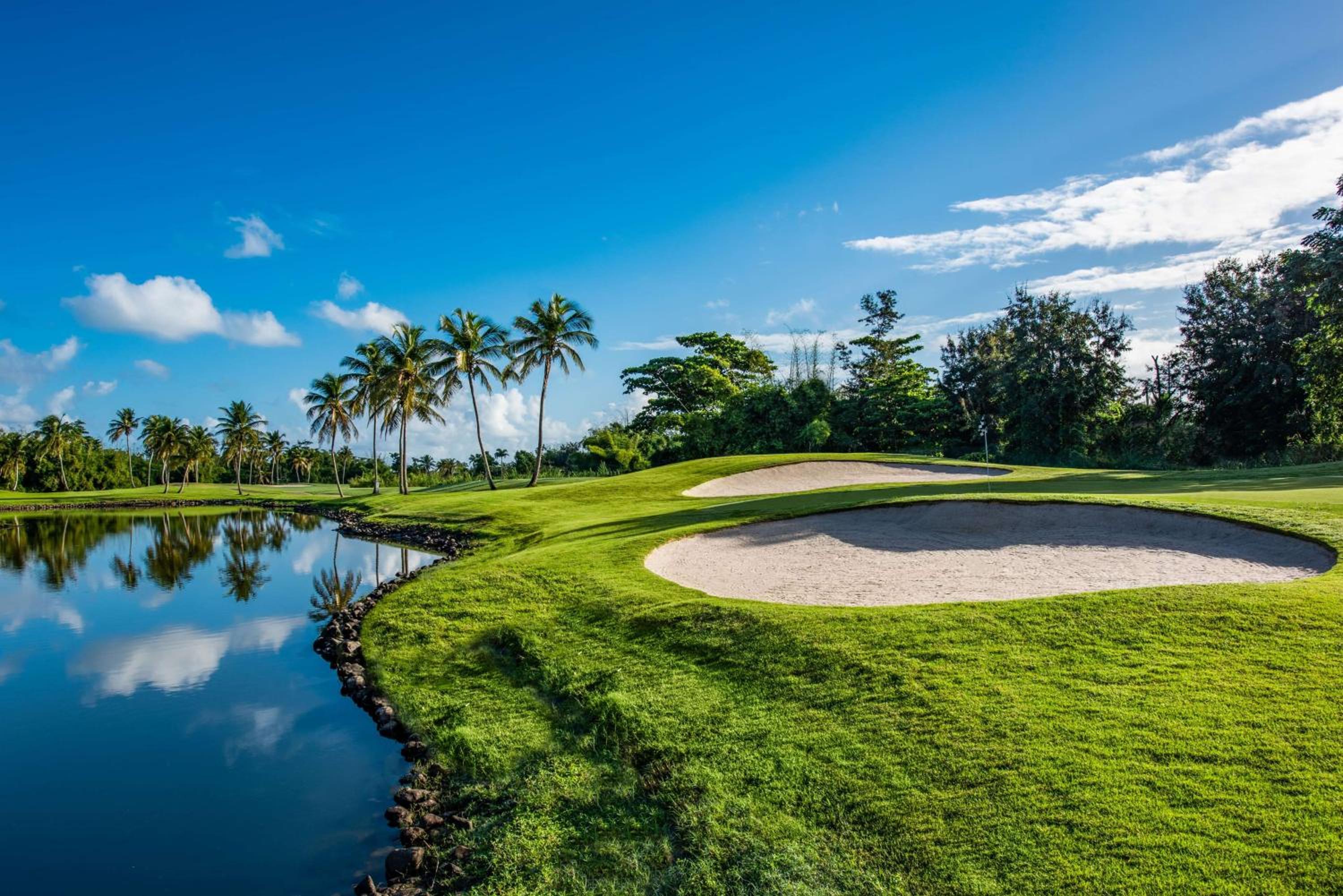 Wyndham Grand Rio Mar Rainforest Beach and Golf Resort - Property Image 70