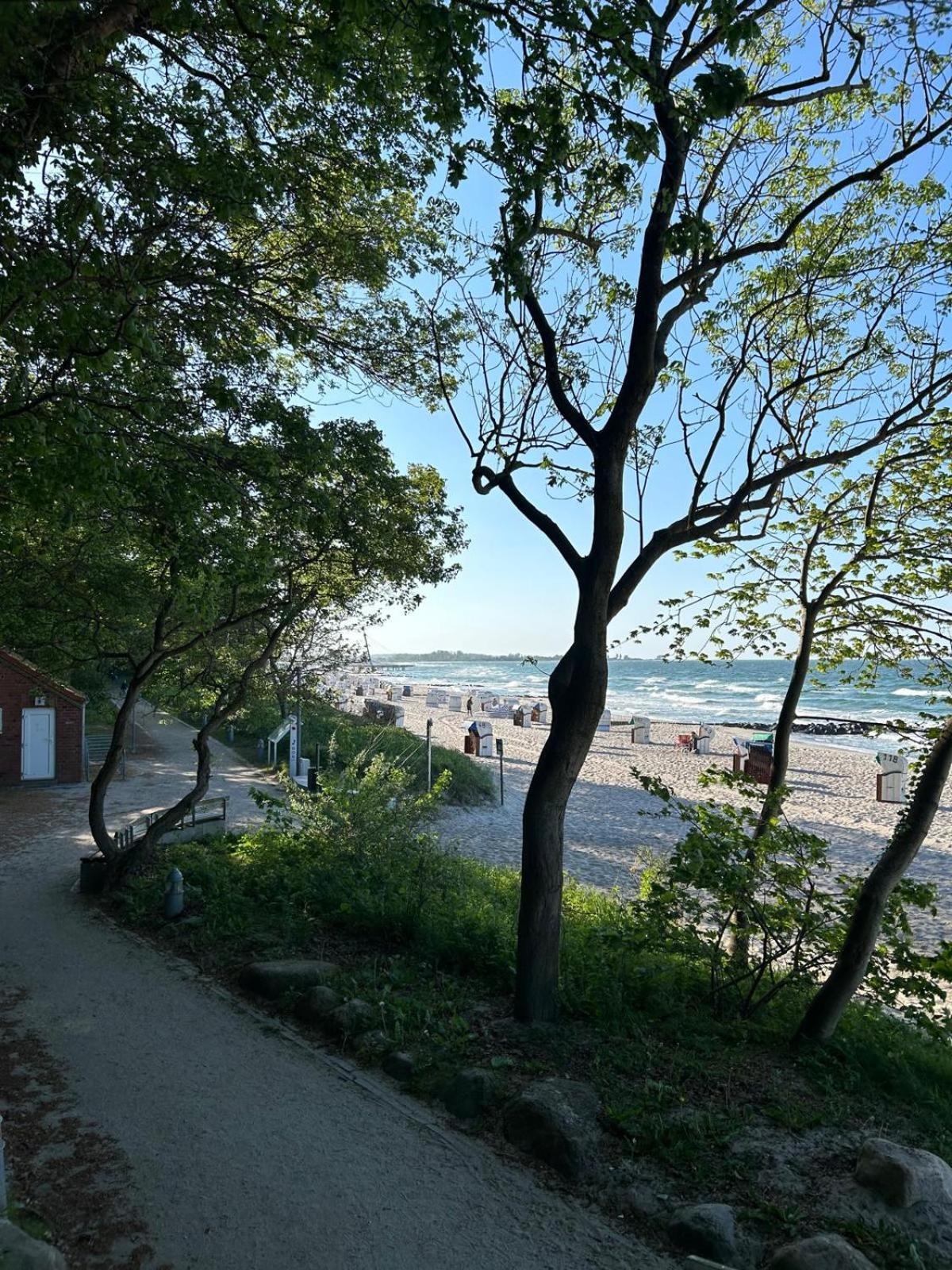 Toplage direkt an der Steilküste - FeWo 1 