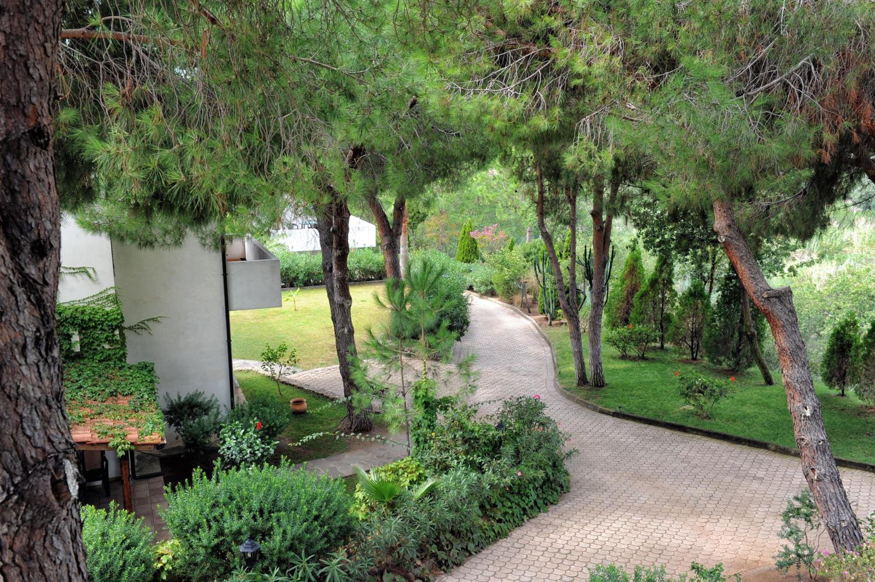 Villaggio Pineta Petto Bianco - Property Image 23
