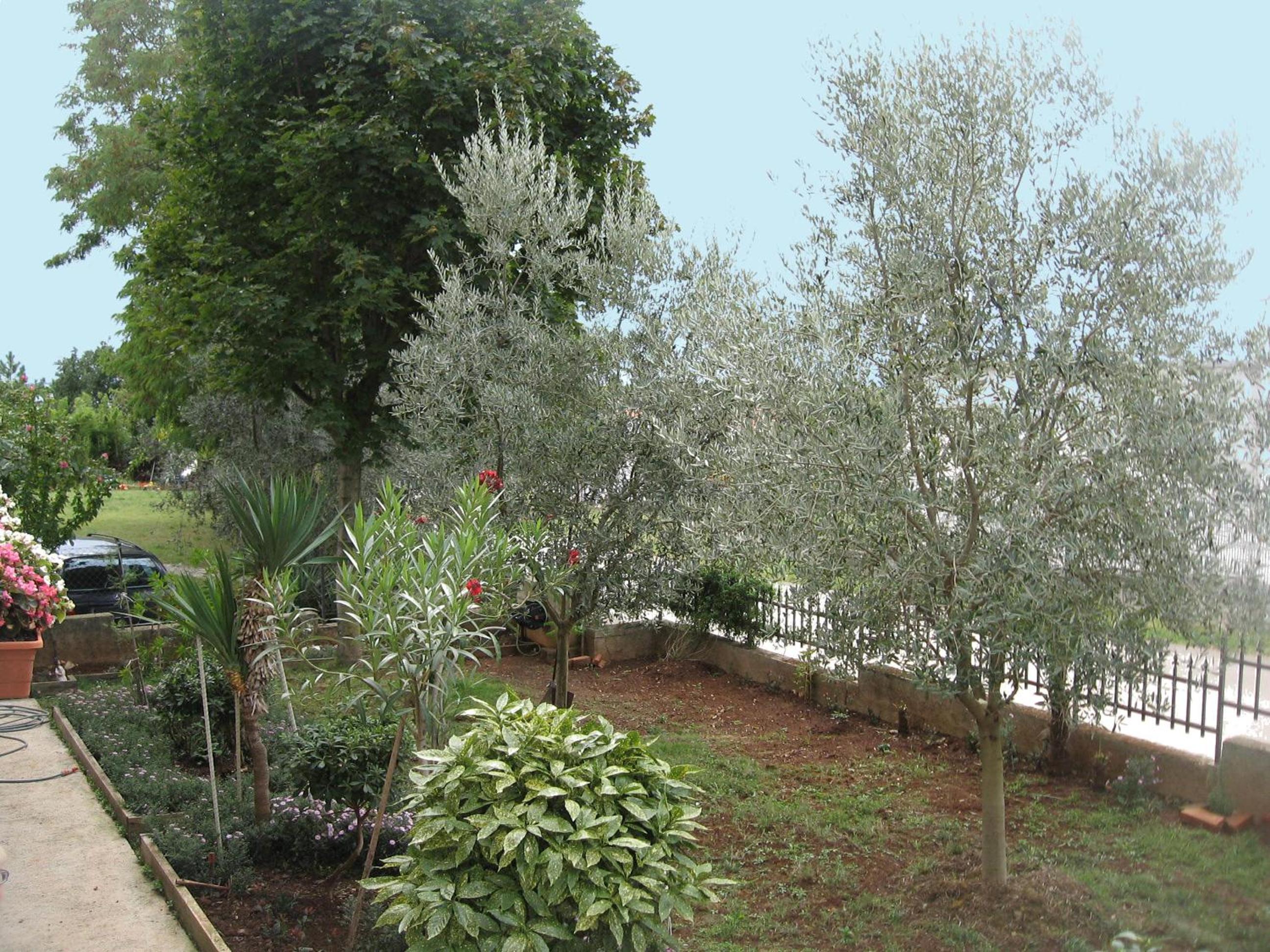 Photo 23