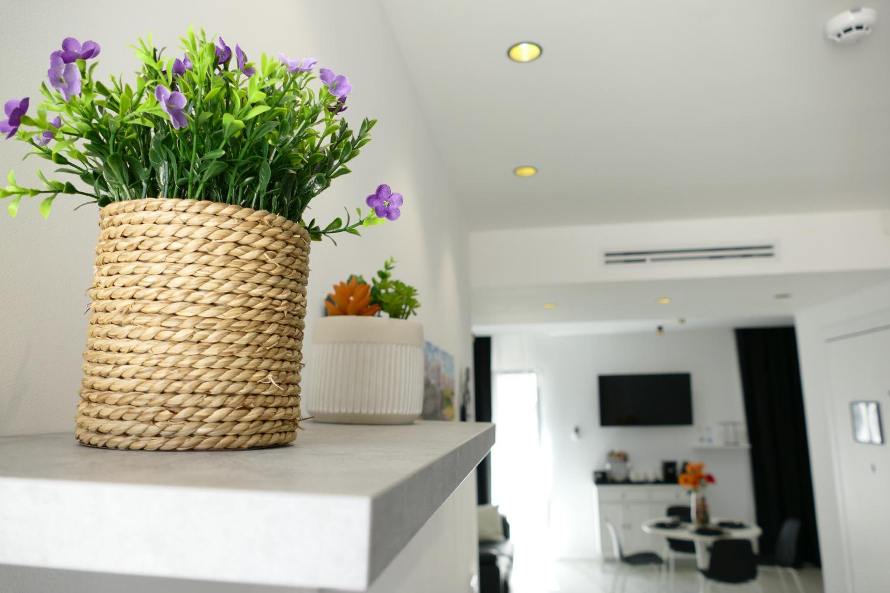 BVholidayHOUSE