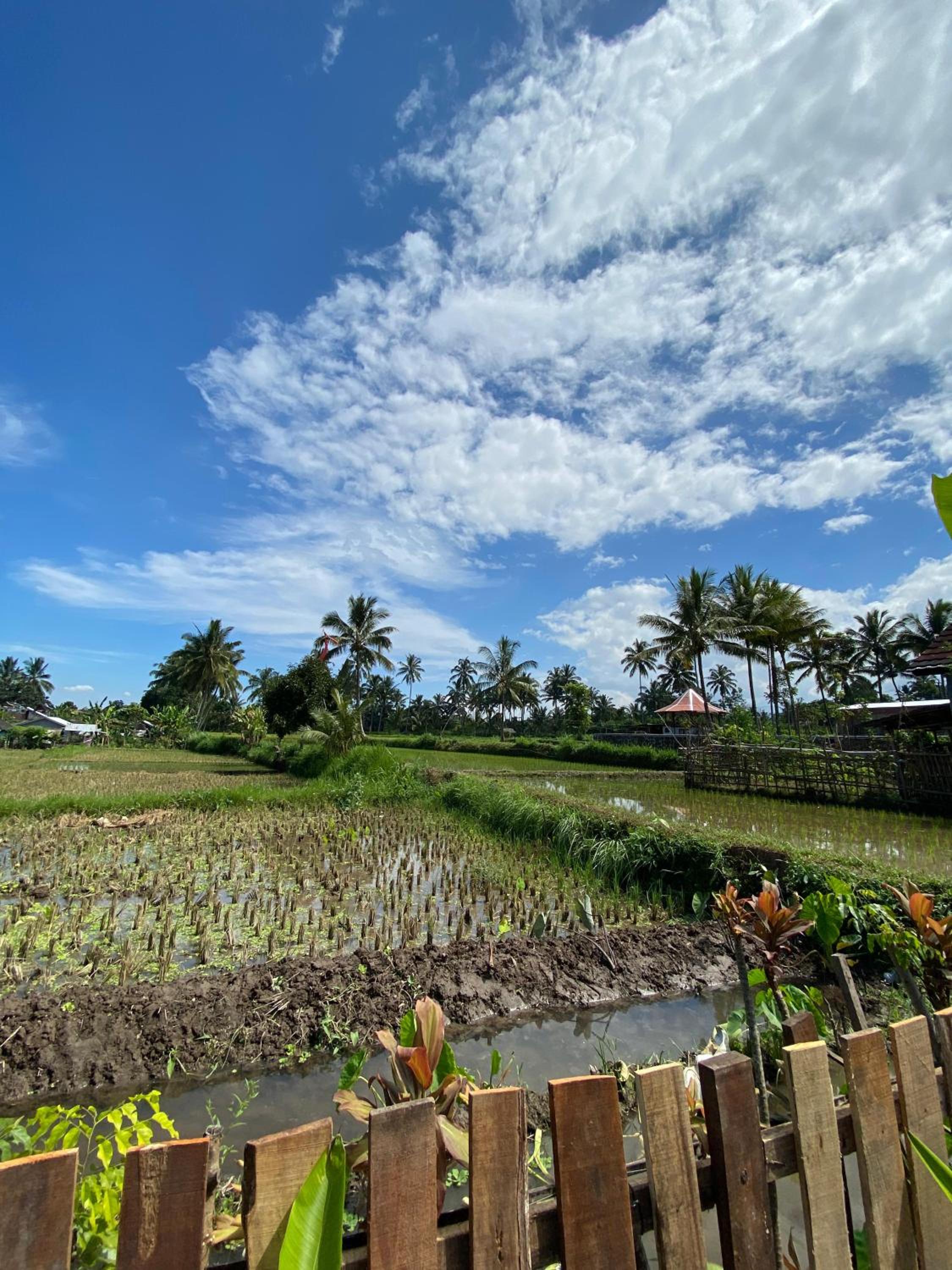 Alfarizi homestay