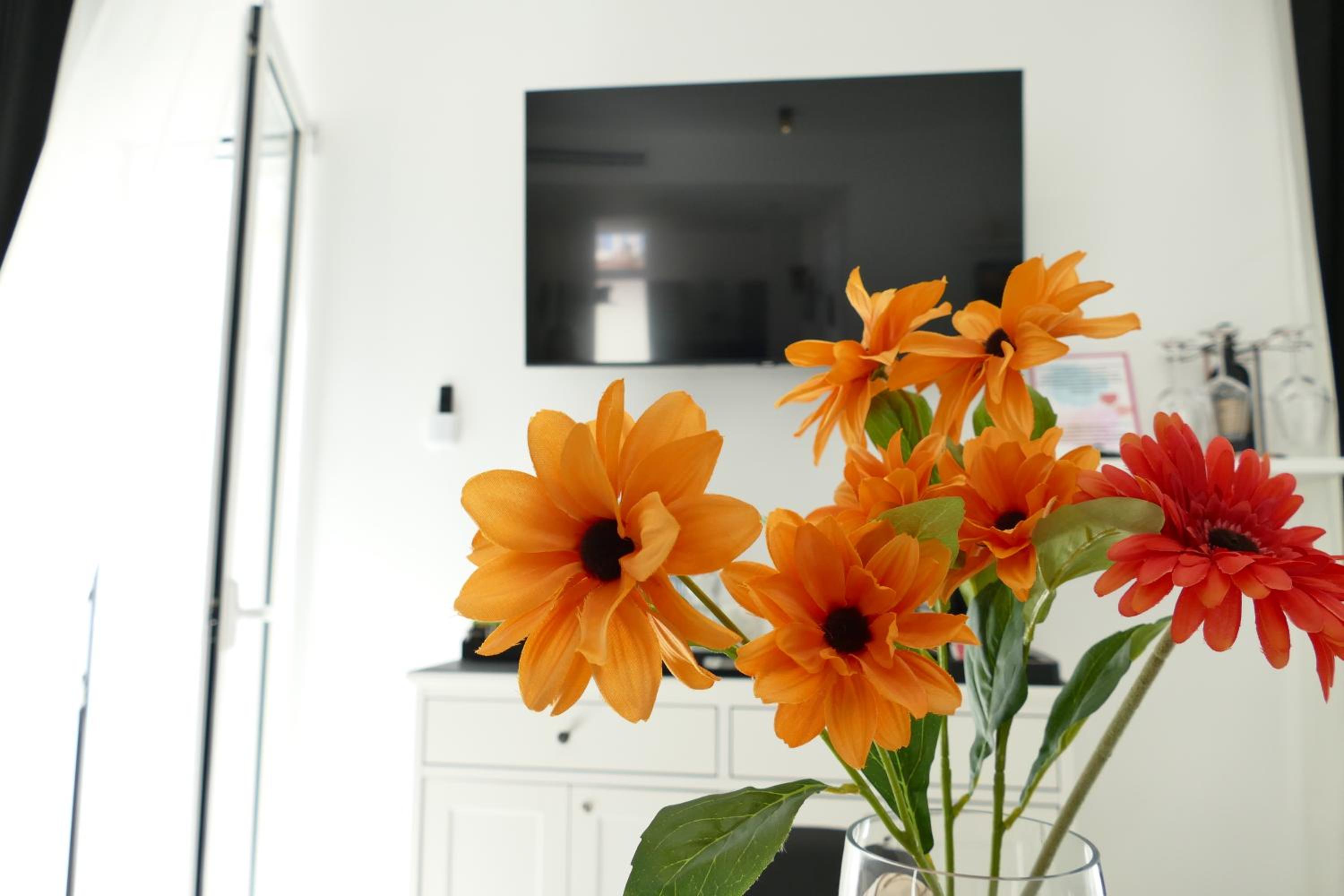 BVholidayHOUSE
