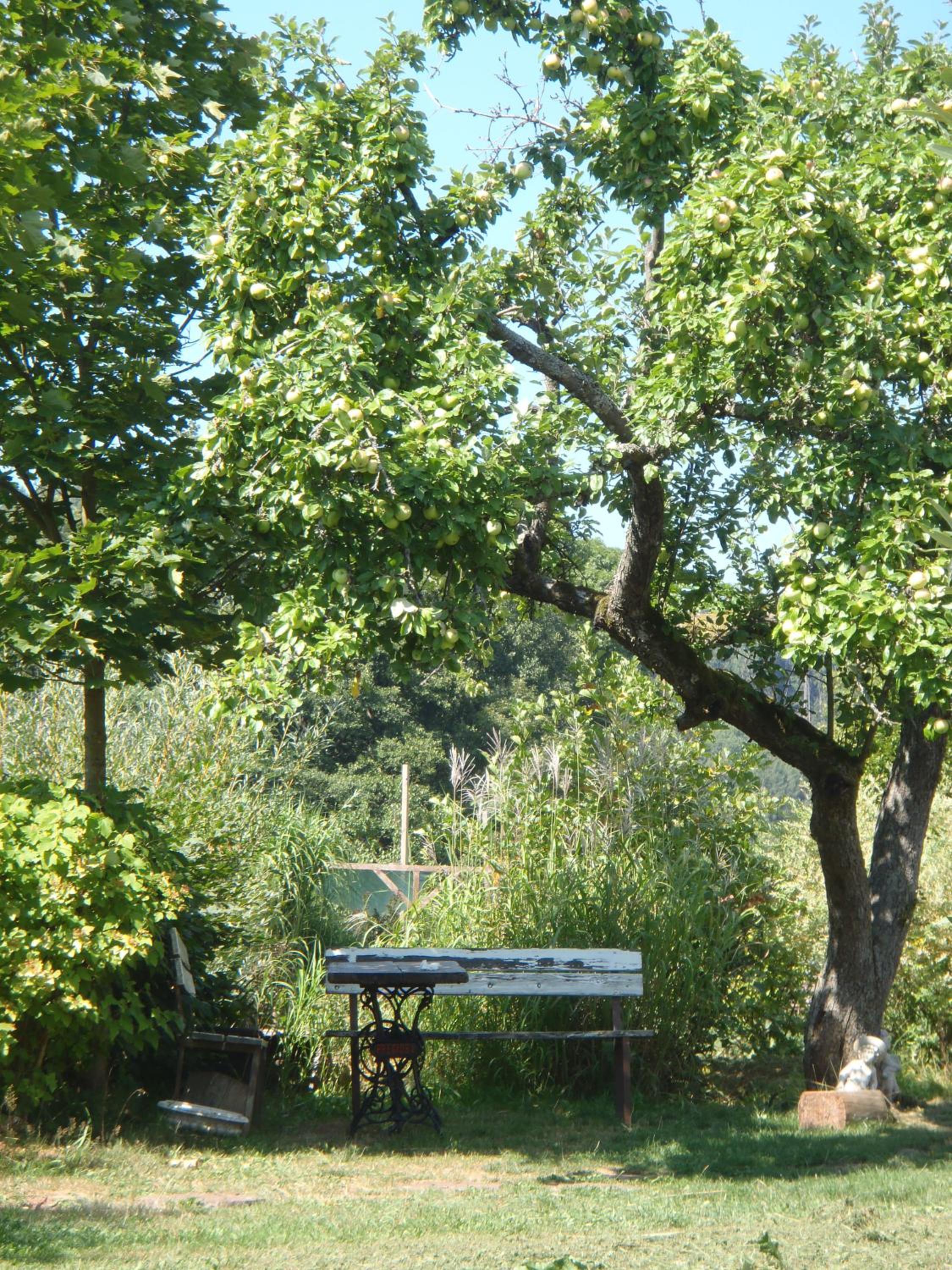 Photo 18