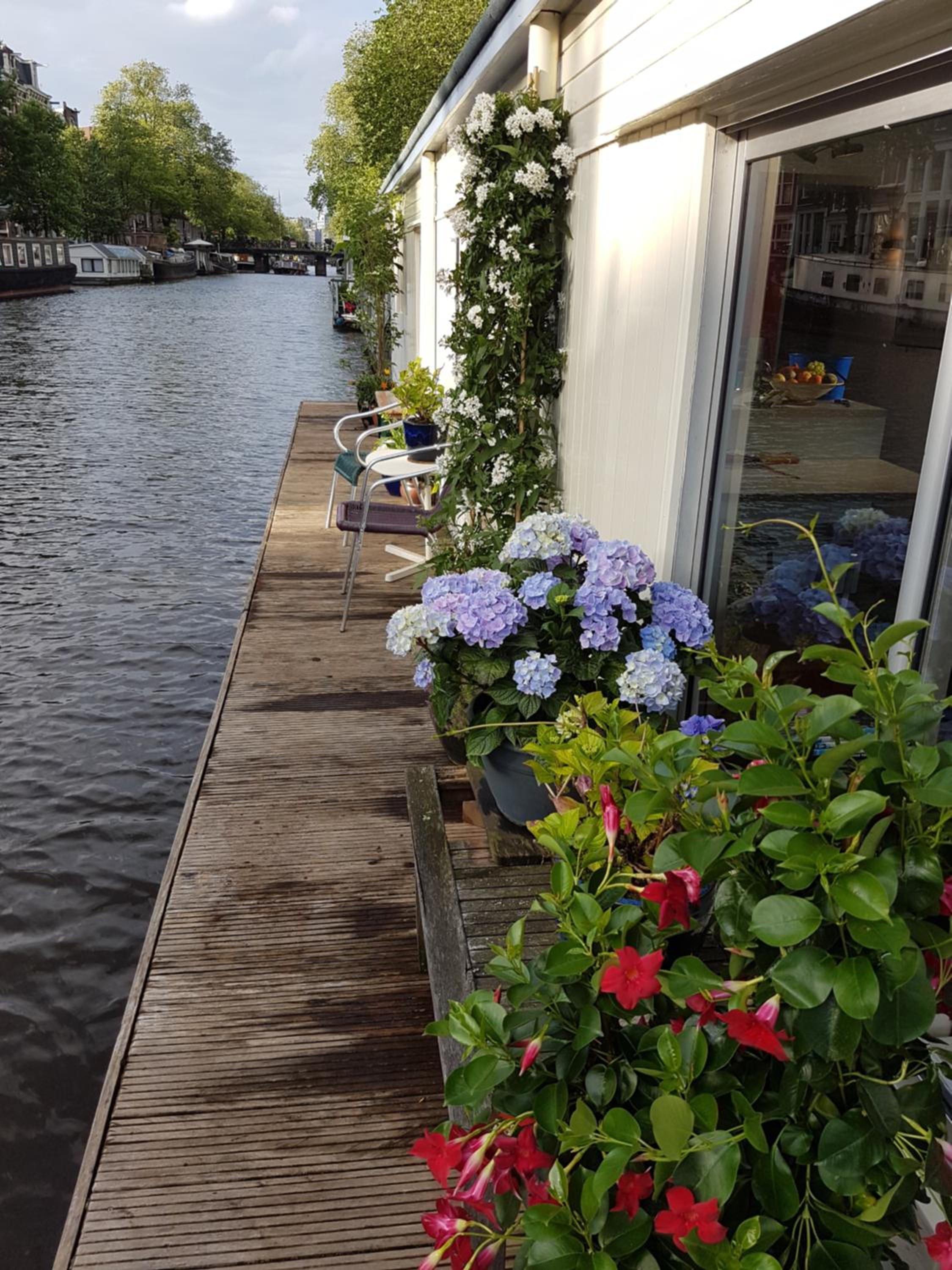 Pantheos Top Houseboat photo 2