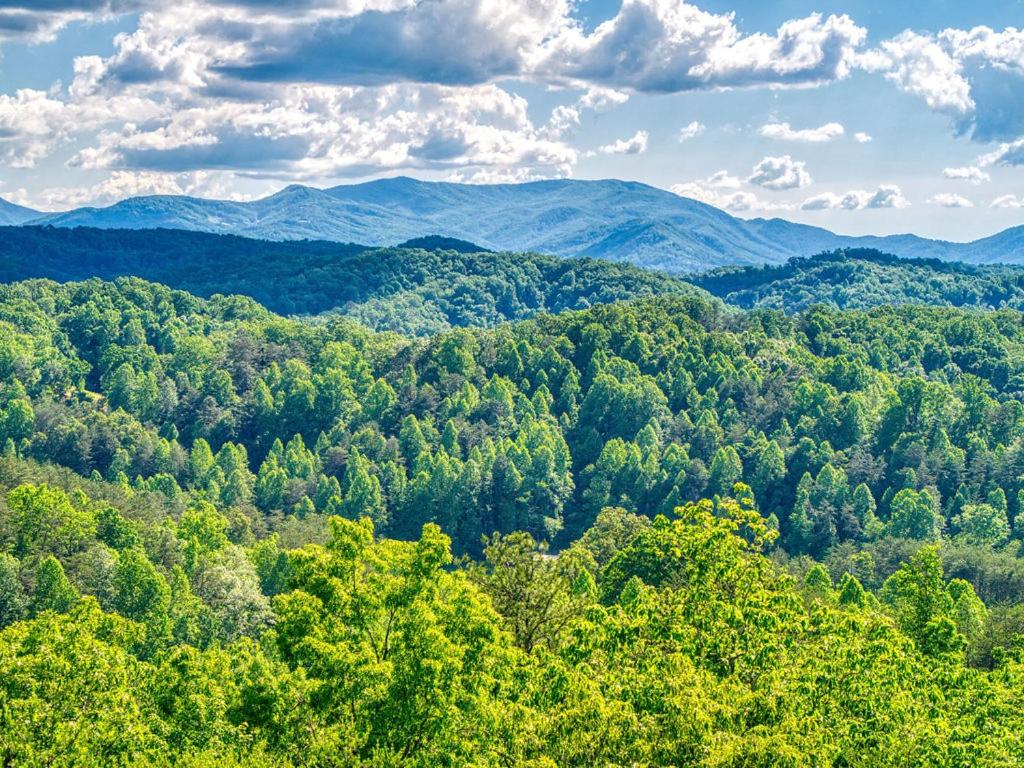 Adventure Splash - Smoky Mountain Retreats Cabins with Private Indoor Pool, Hot Tubs & Fun!