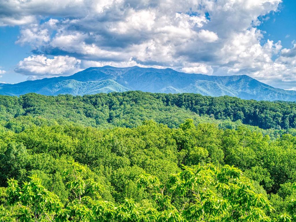 Adventure Splash - Smoky Mountain Retreats Cabins with Private Indoor Pool, Hot Tubs & Fun!